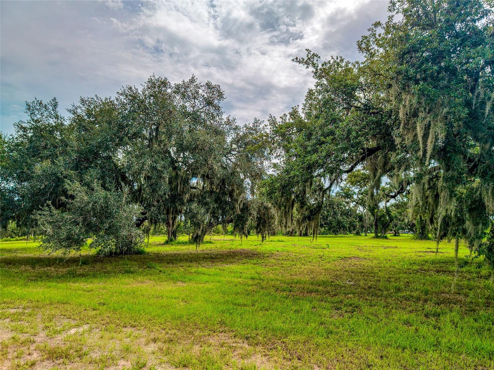 26217 39th Pl E Property Photo 17