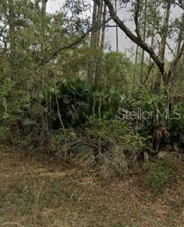 A4702102 Property Photo 1