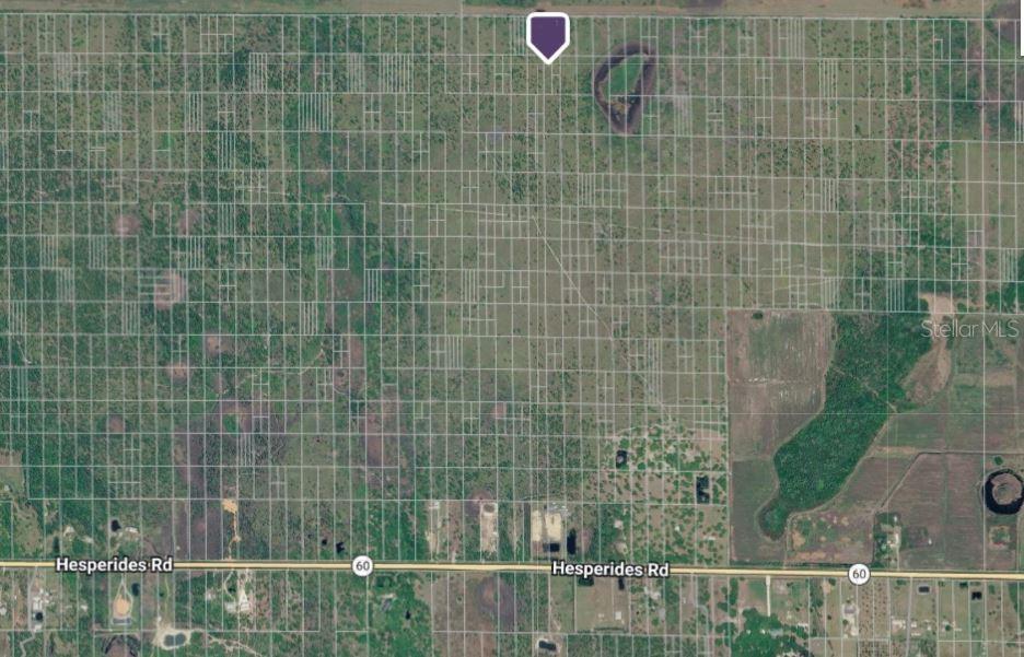 Hwy 60 Property Photo 2