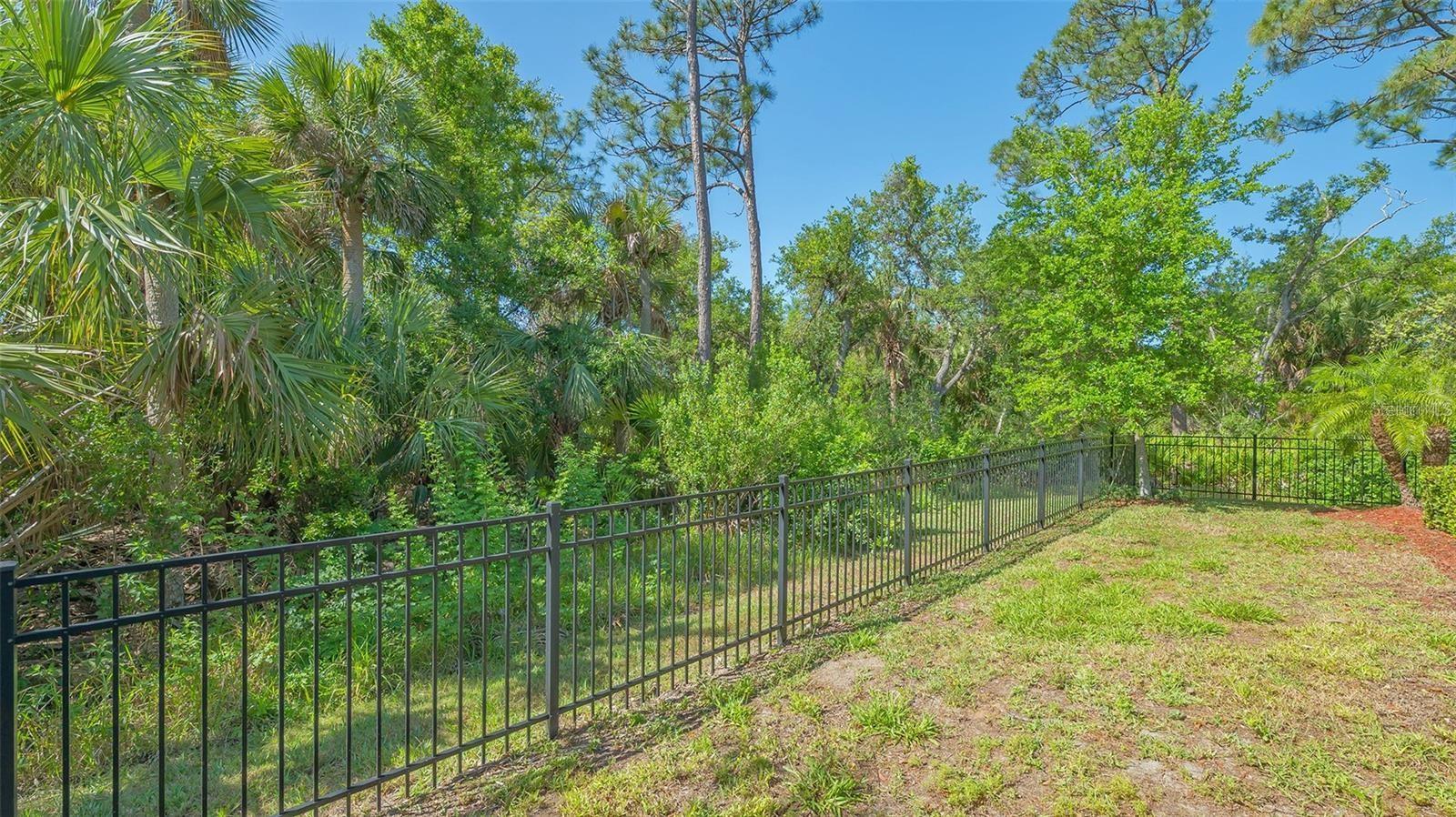 12801 Cinqueterre Dr Property Photo 48