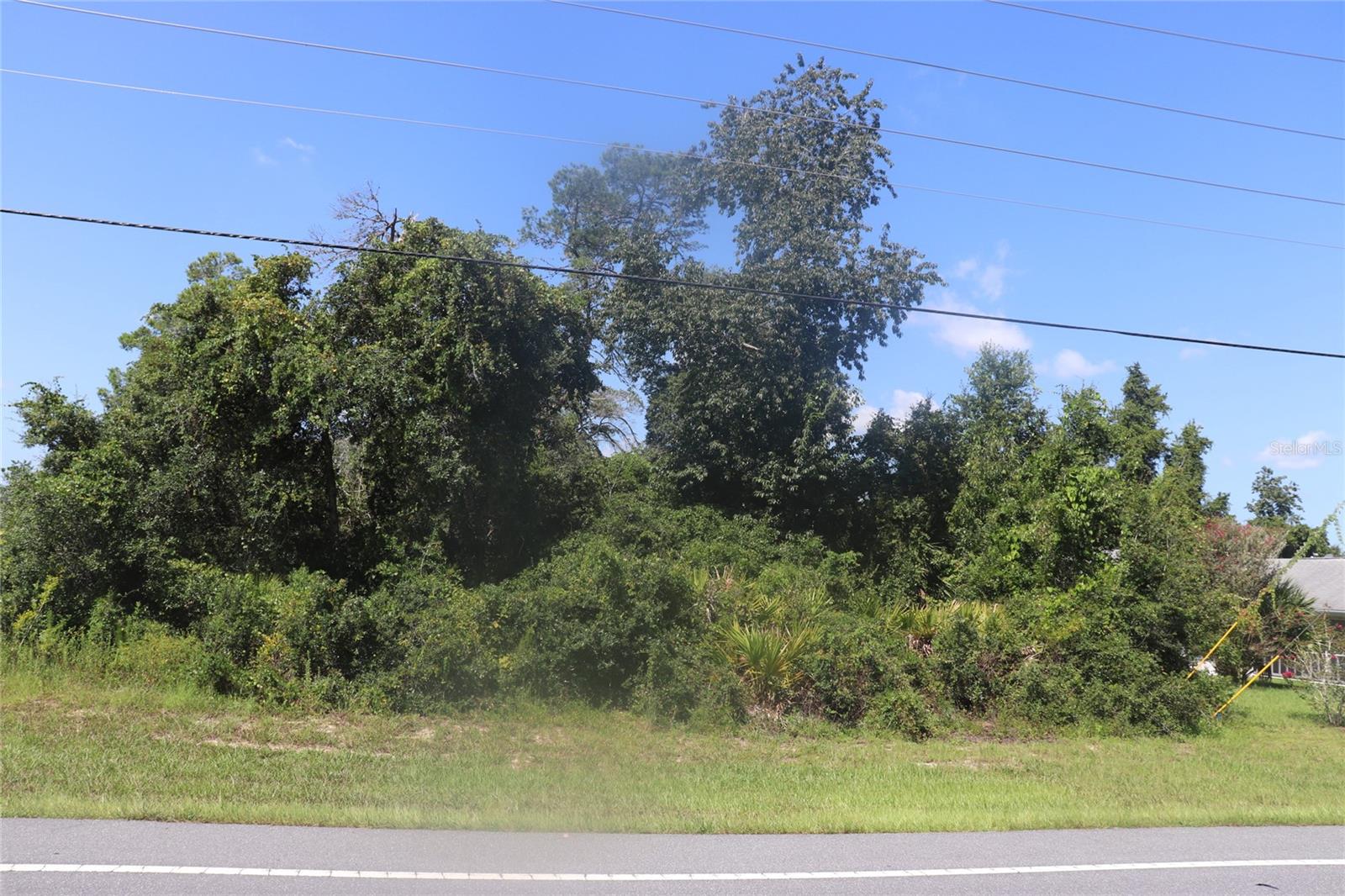 Tbd Sw Marion Oaks Mnr Property Photo 7