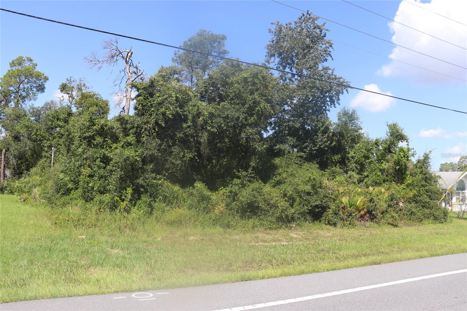 Tbd Sw Marion Oaks Mnr Property Photo 8