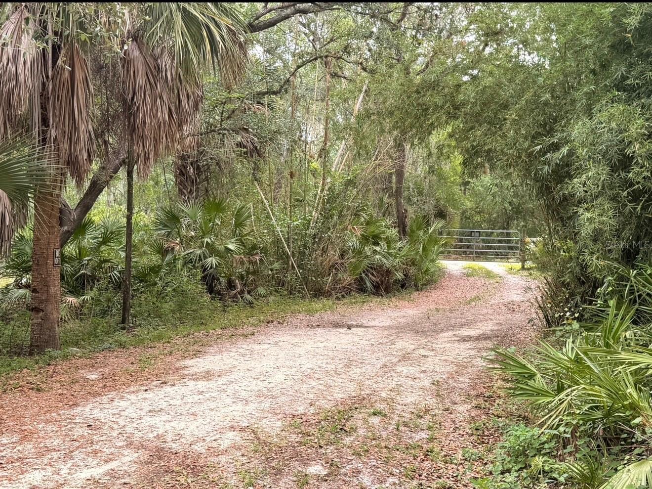 2963 Sw Armadillo Trl Property Photo 2