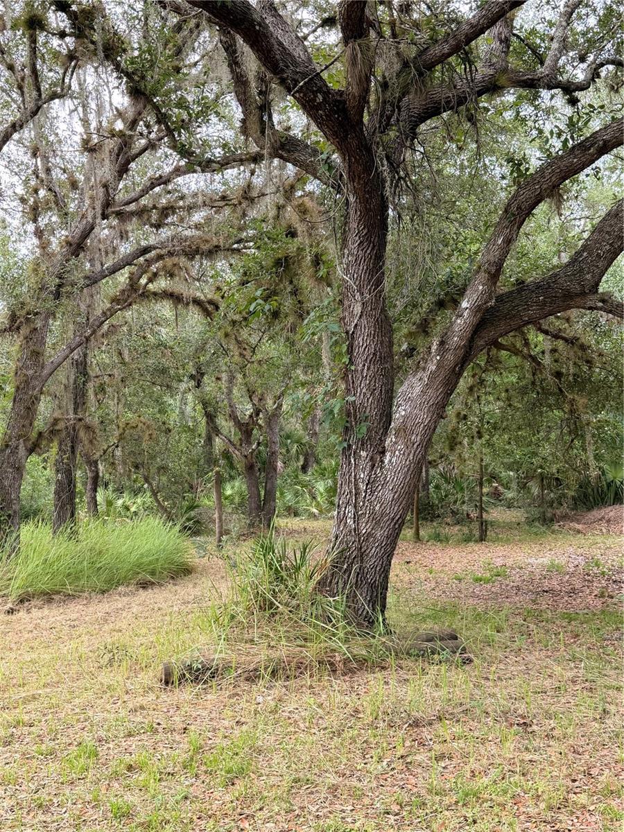 2963 Sw Armadillo Trl Property Photo 10