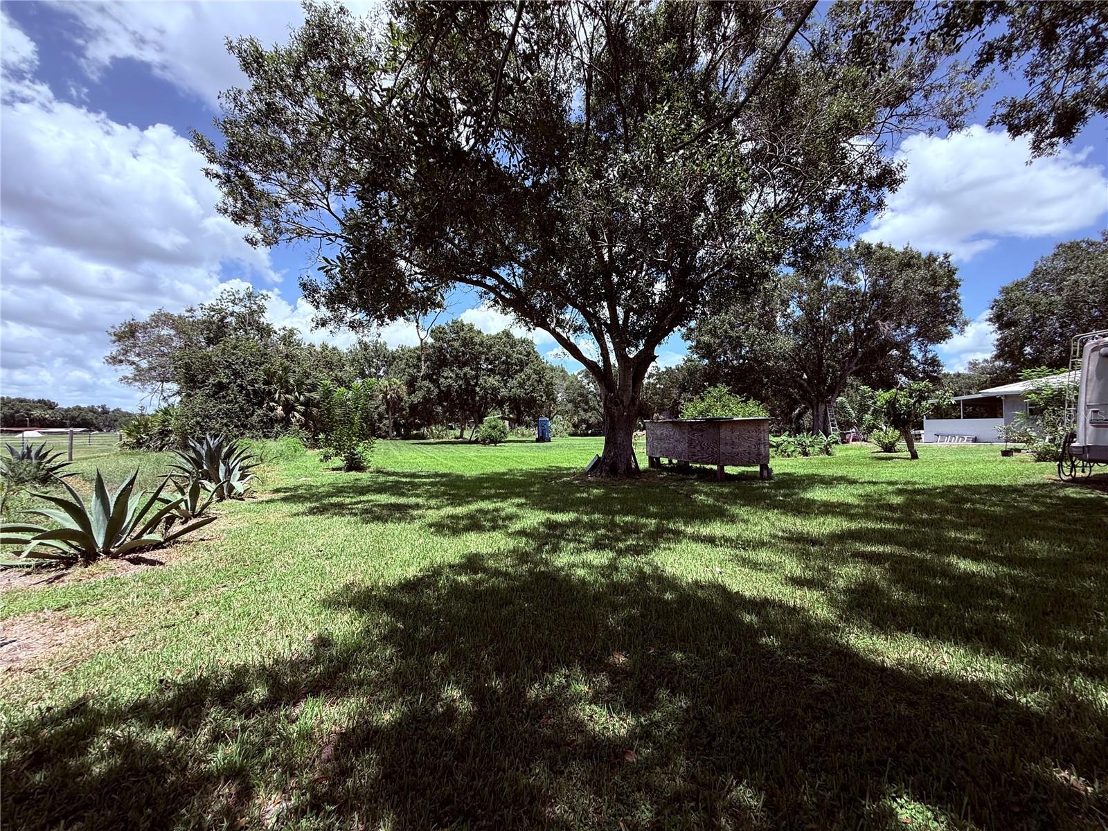 2015 Nw 46th Ave Property Photo 11