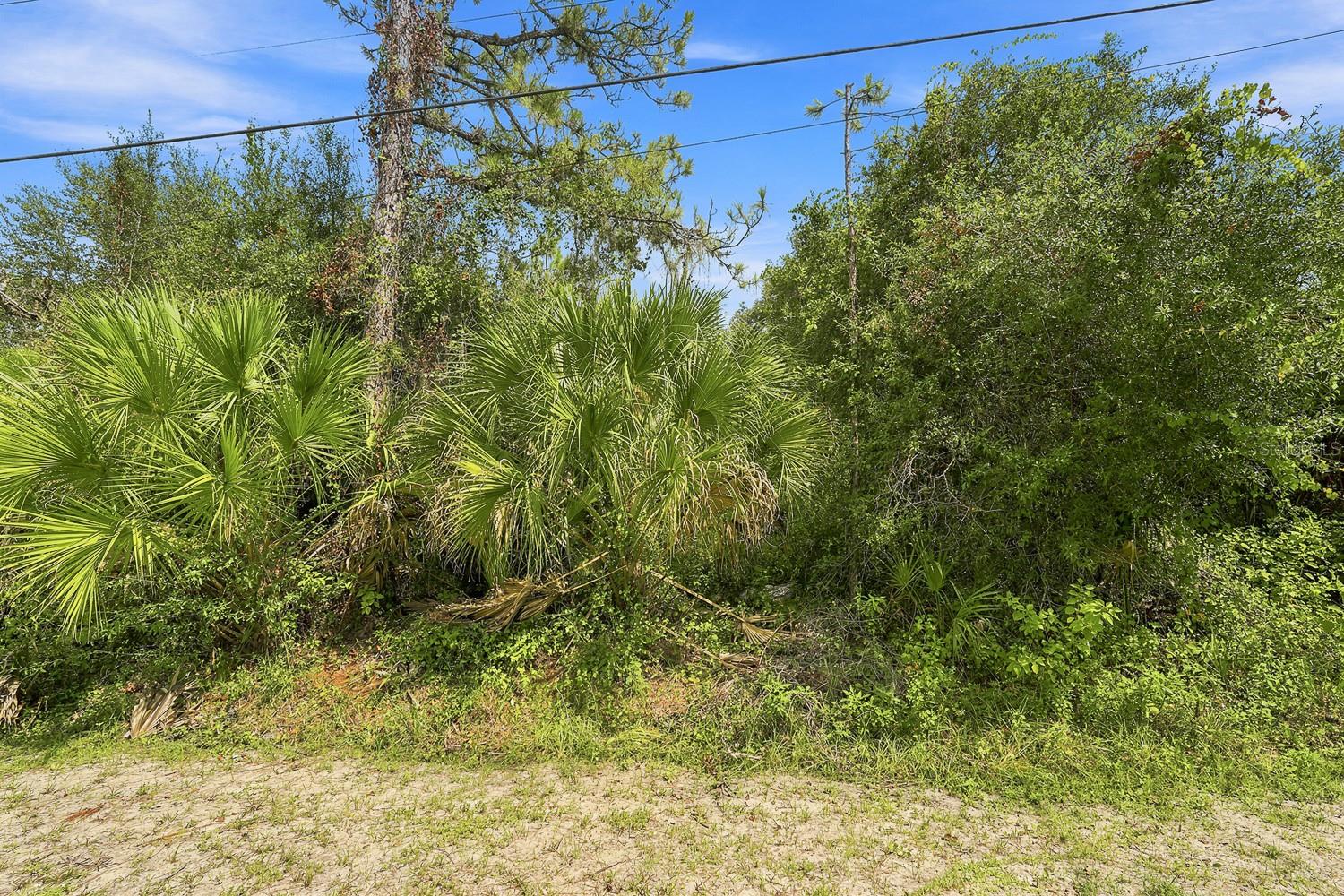 Henderson Ln Property Photo 3