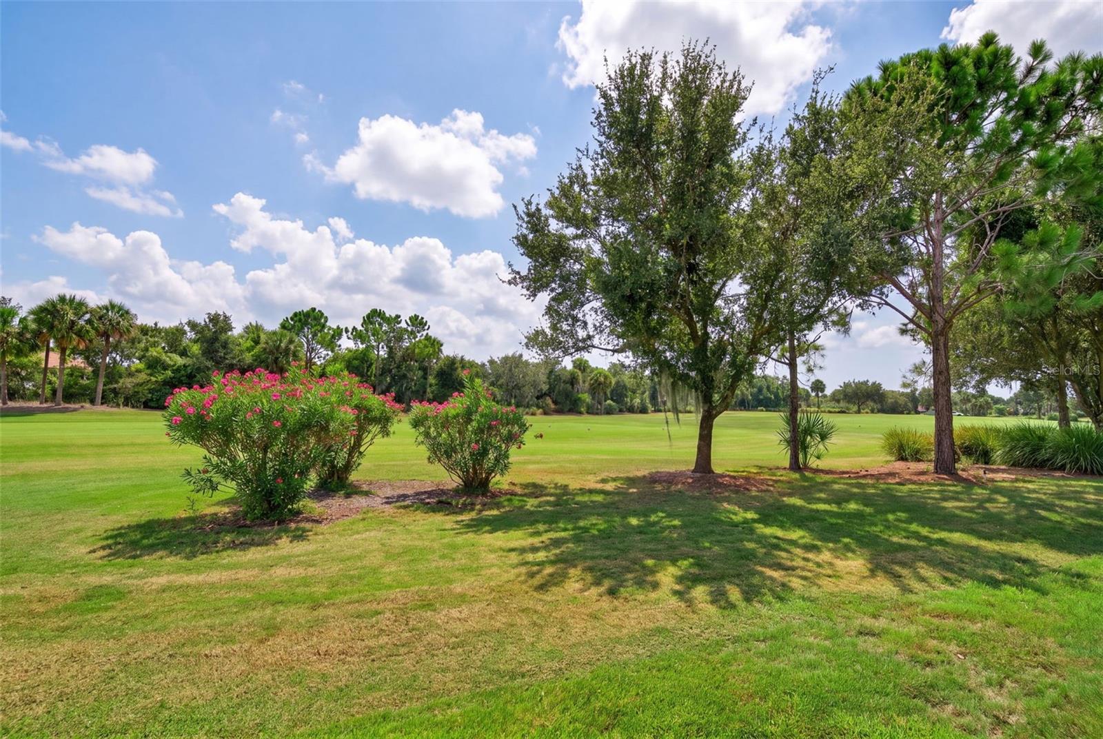 12758 Sorrento Way Property Photo 24