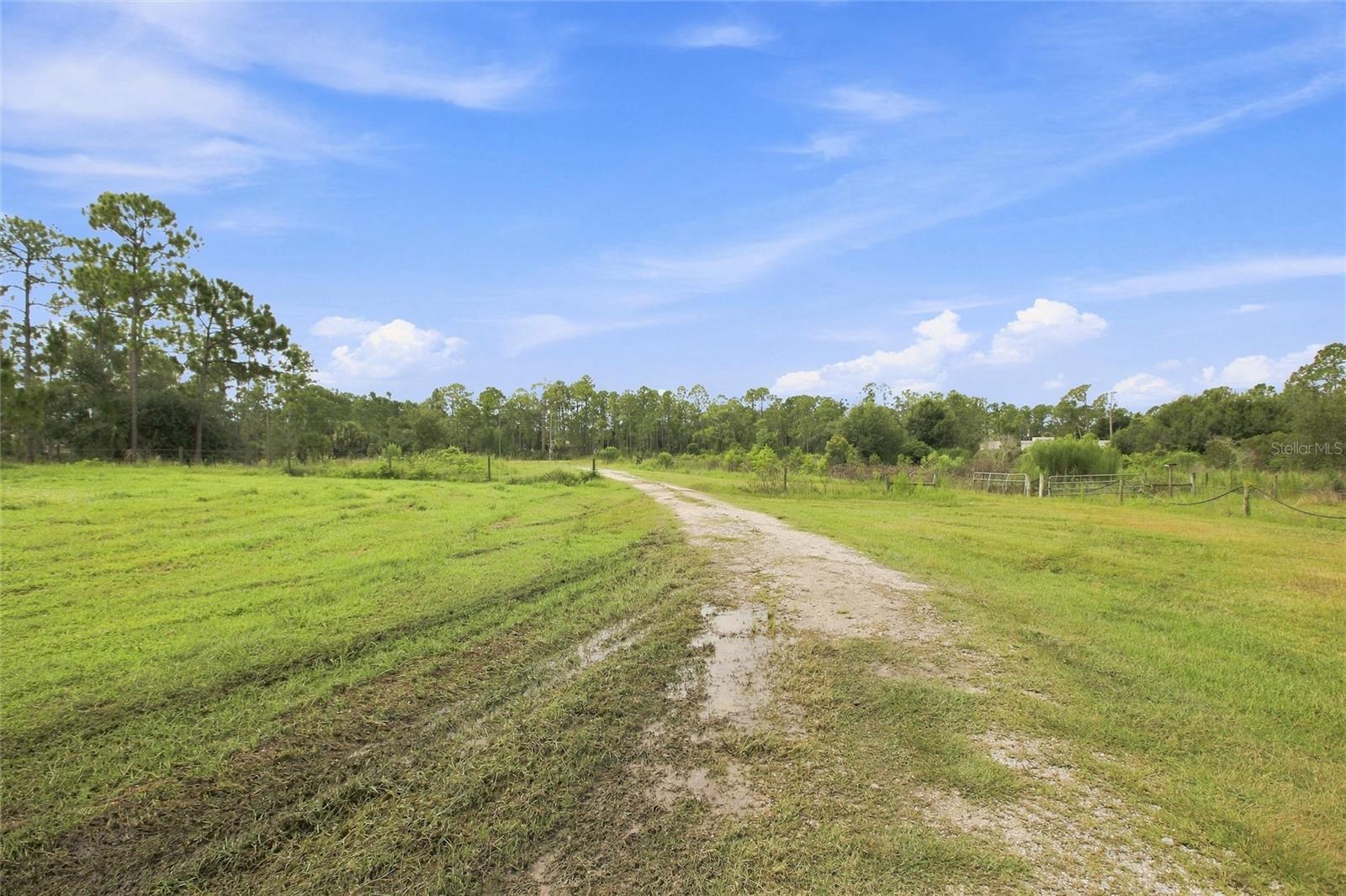 8146 Tropicaire Blvd Property Photo 44