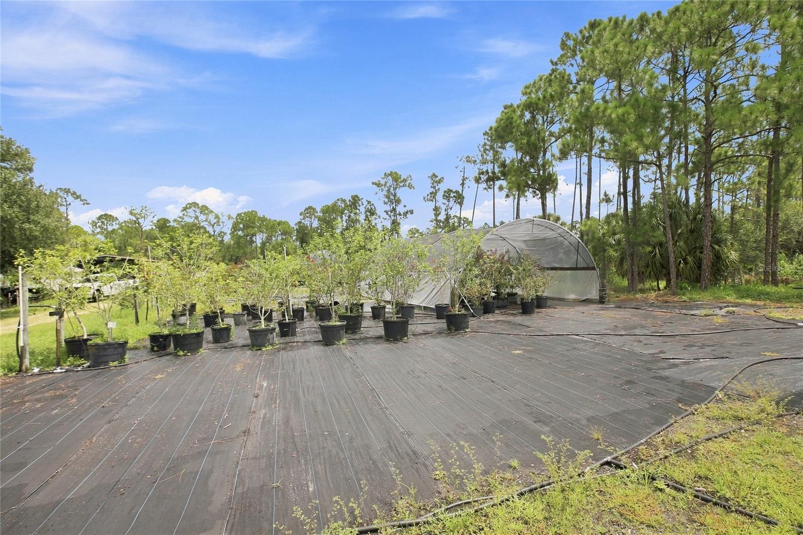 8146 Tropicaire Blvd Property Photo 53