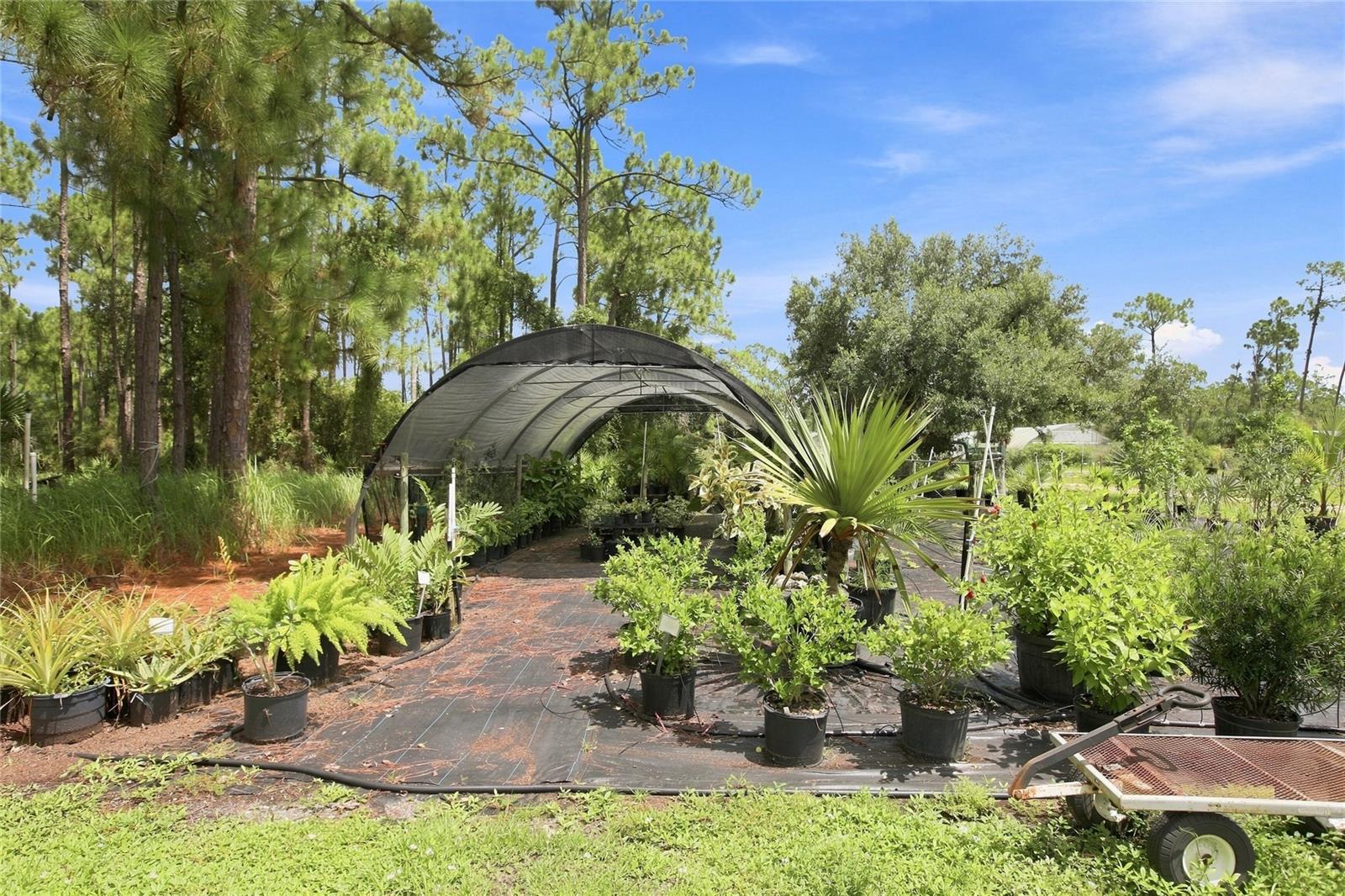 8146 Tropicaire Blvd Property Photo 55