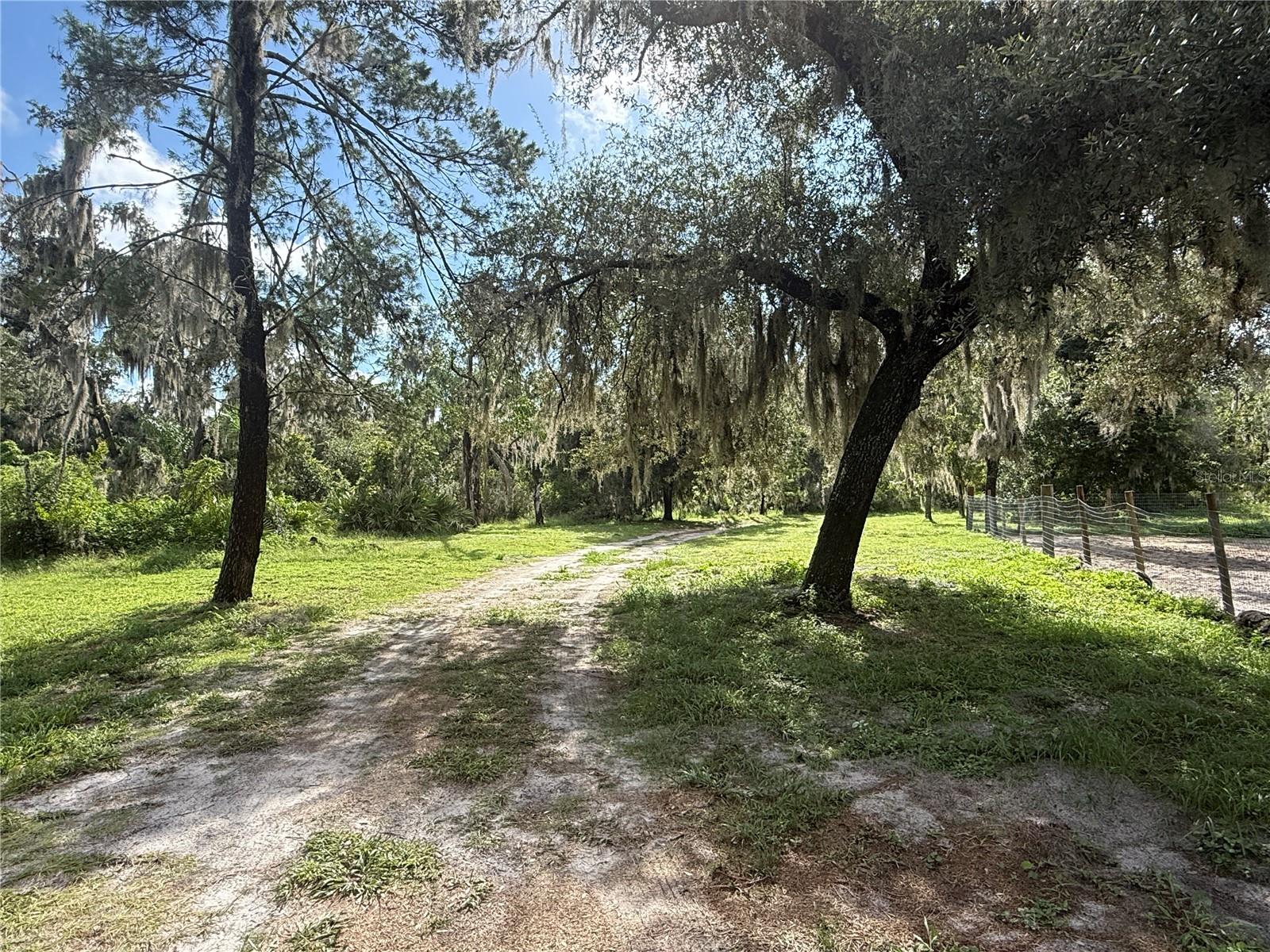 10305 Revell Rd Property Photo 10