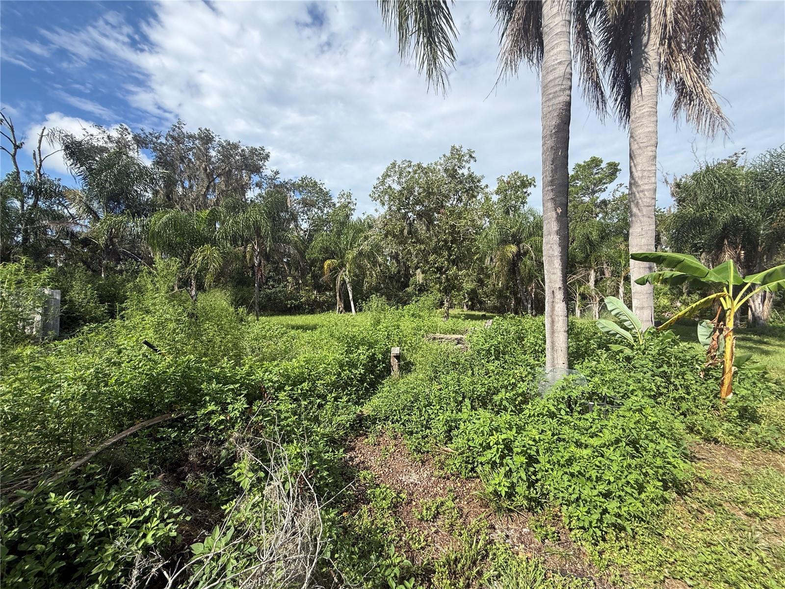 10305 Revell Rd Property Photo 12