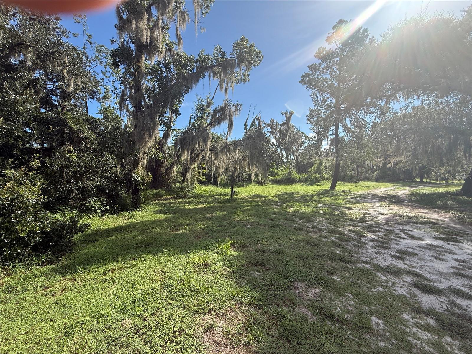 10305 Revell Rd Property Photo 27