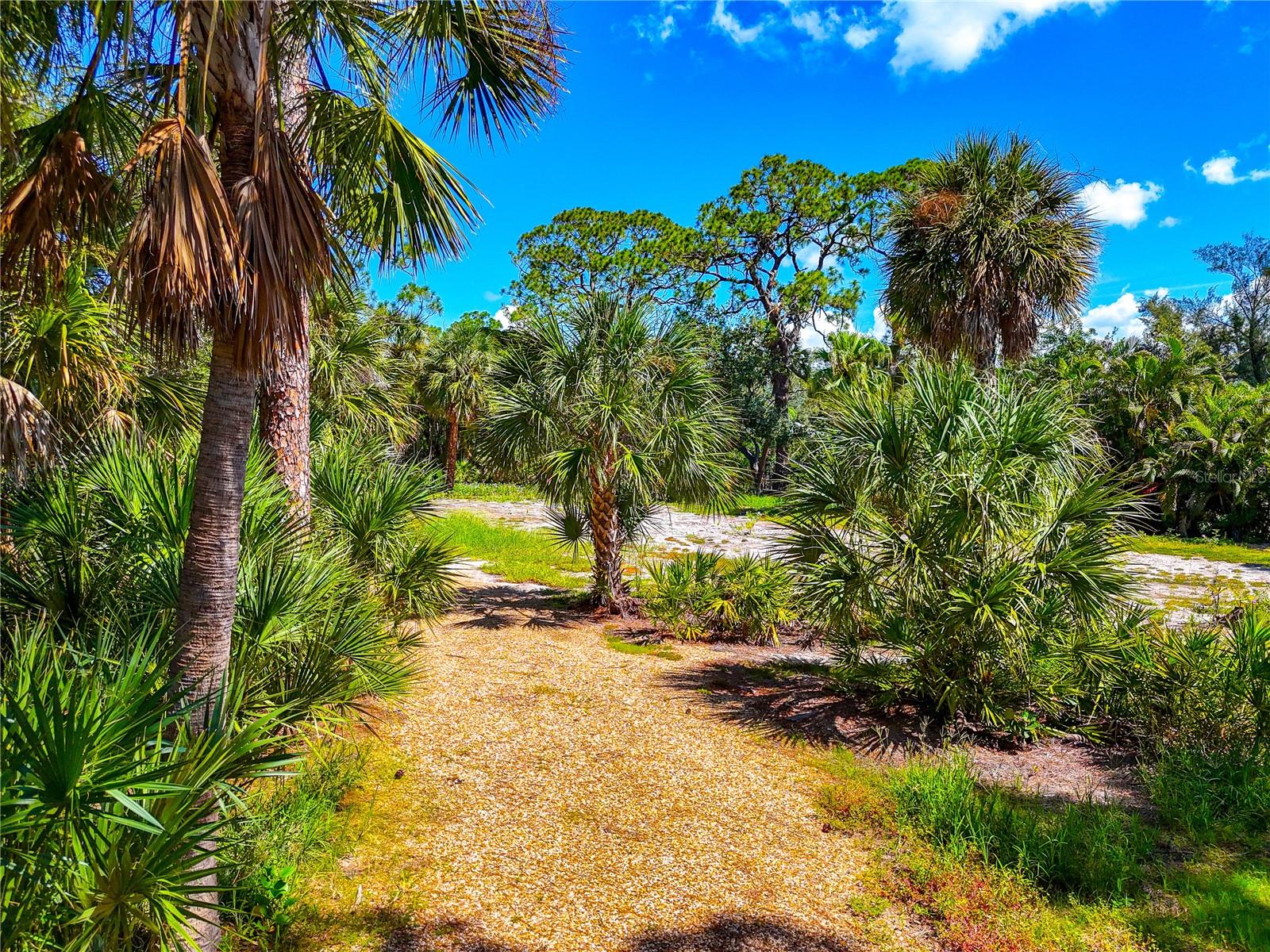 7233 Pine Needle Rd Property Photo 11