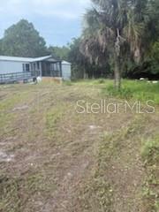 150 Carlton Millender Rd Property Photo 17
