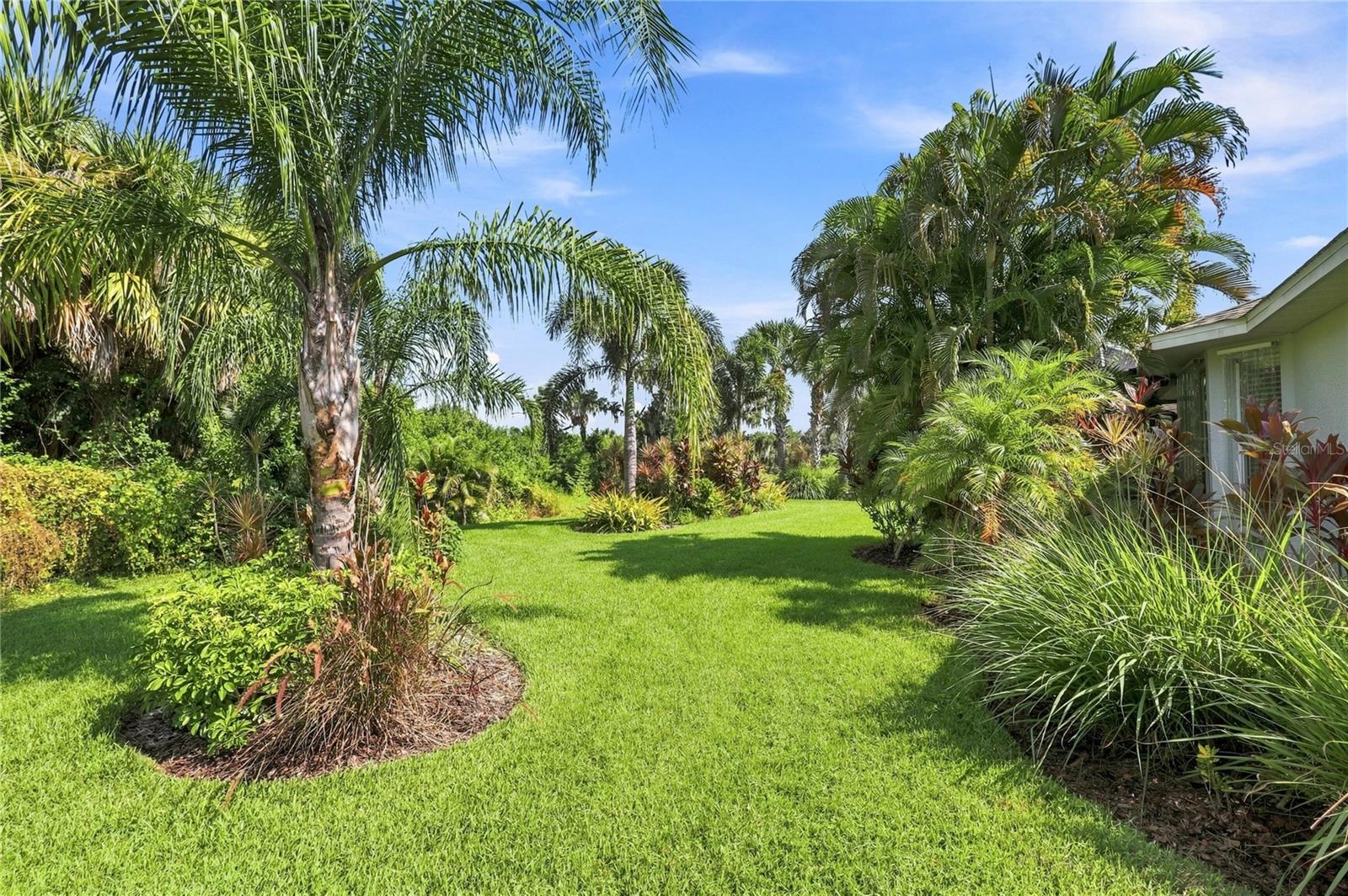 11634 Old Cypress Cv Property Photo 36