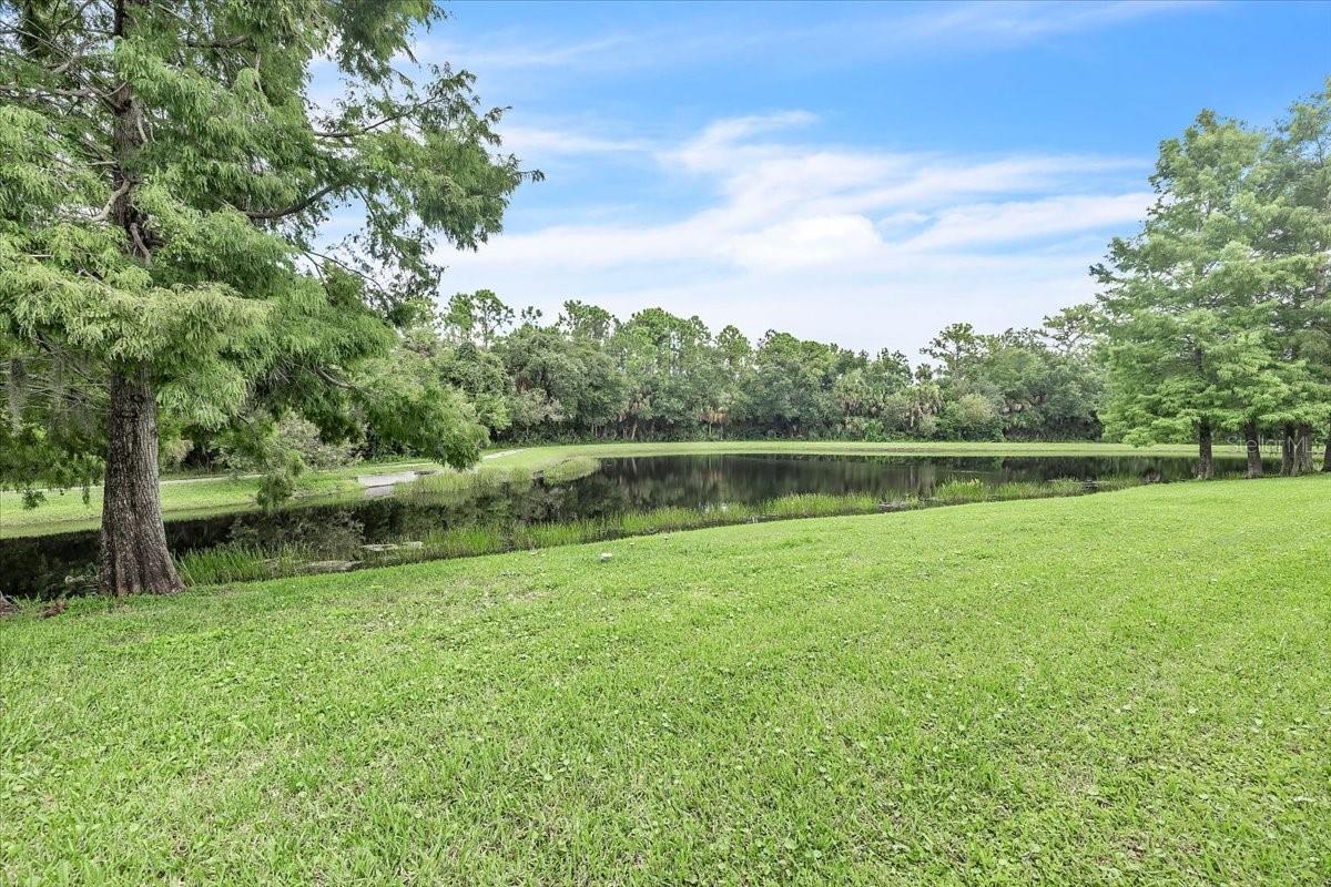 7146 Strand Cir Property Photo 29