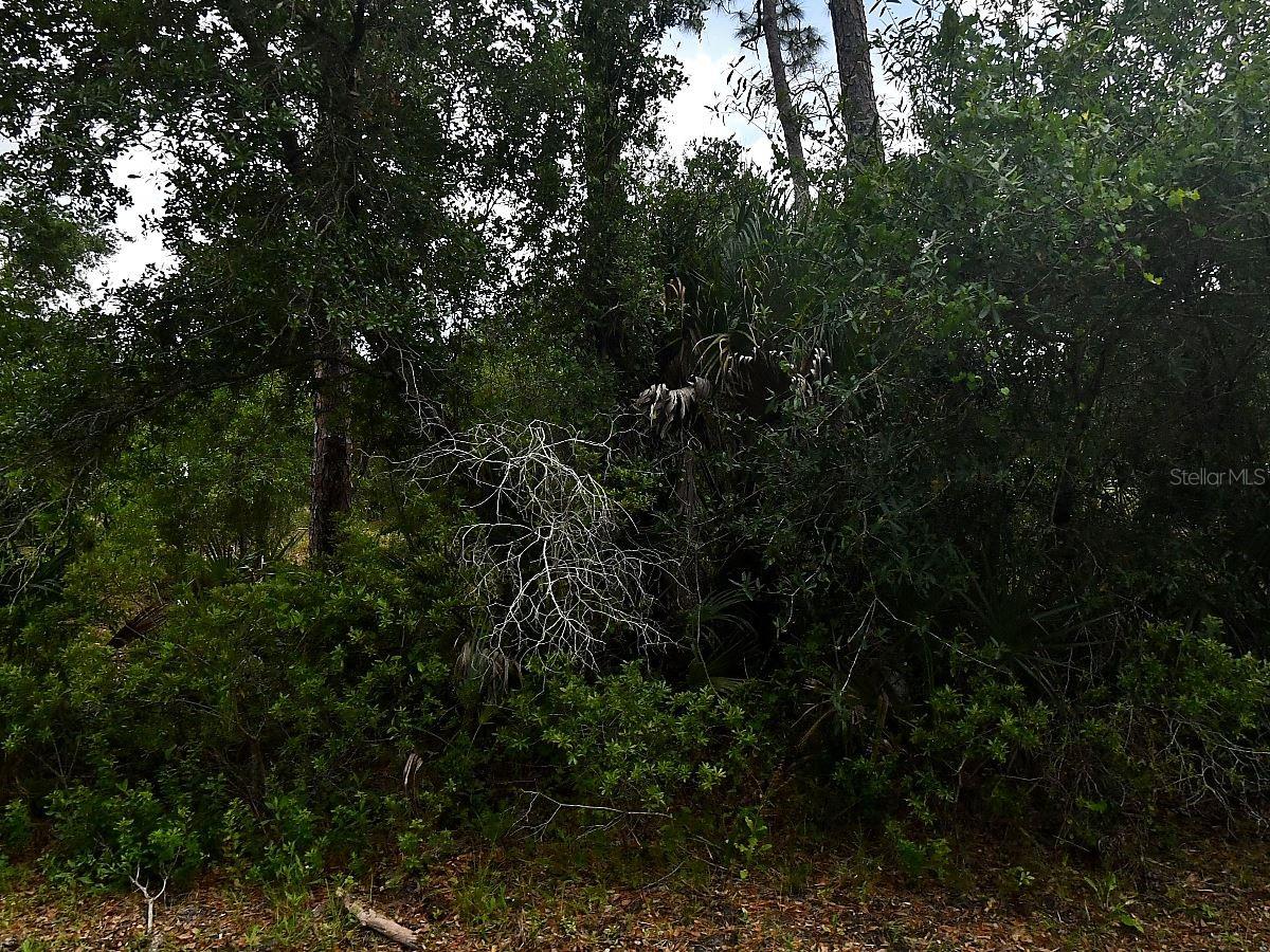 Loffreda Ave Property Photo 1