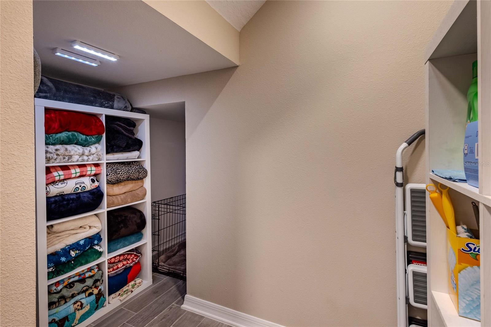 3195 King Fern Dr Property Photo 63