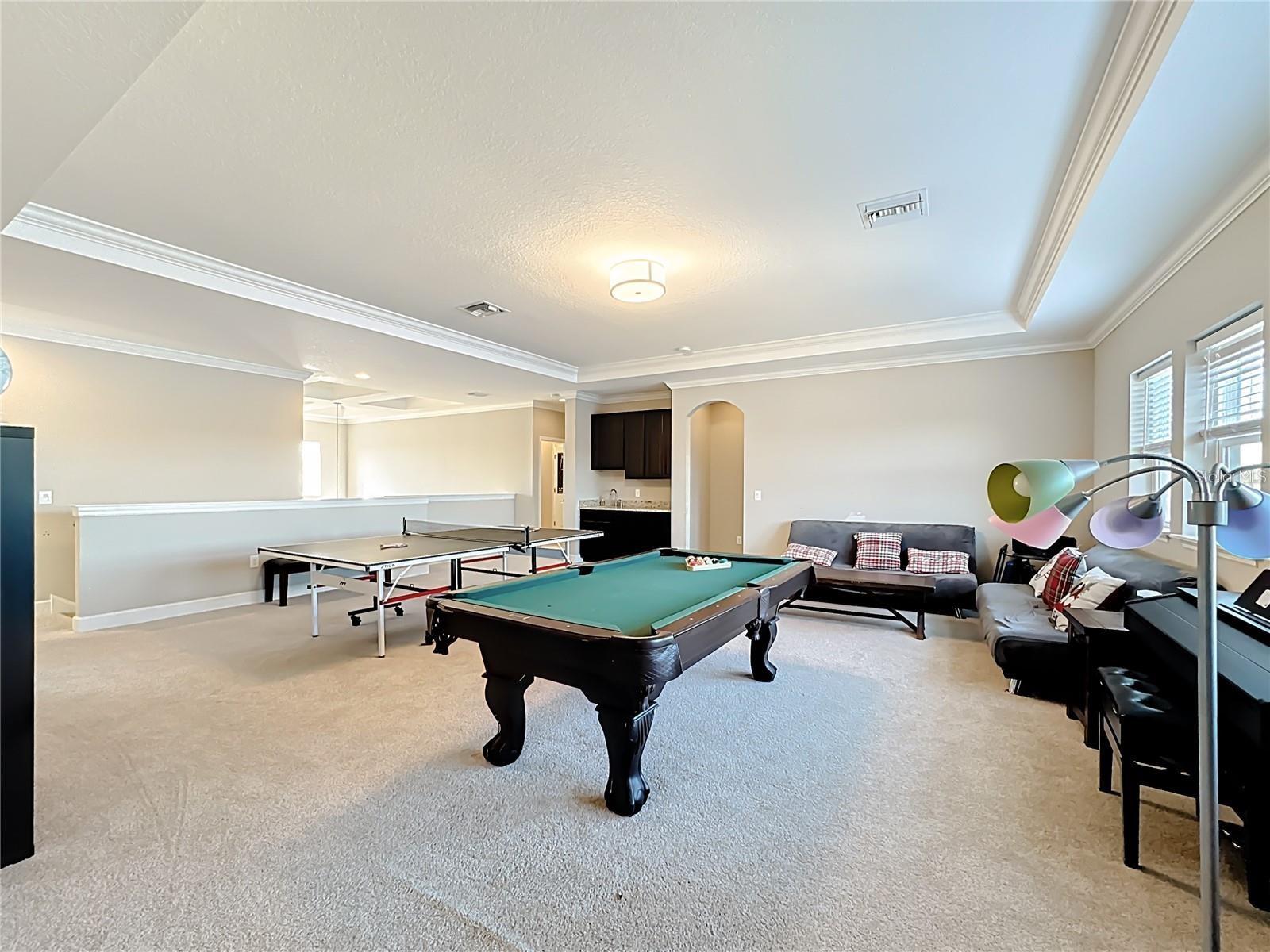 6006 Anise Drive Property Photo 41