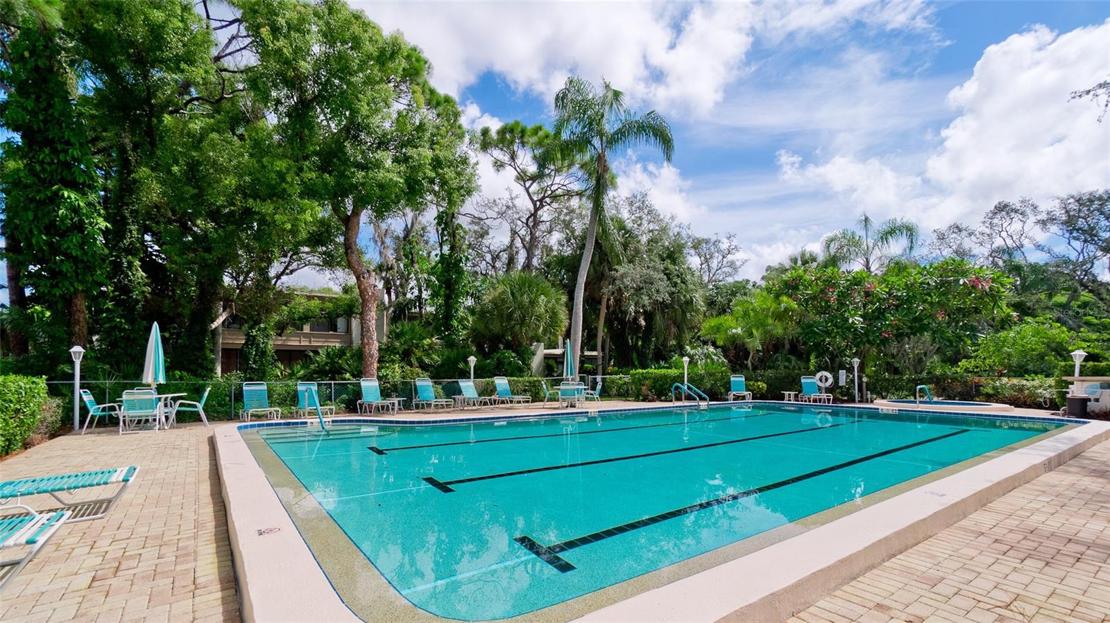 401 Palm Tree Dr #n/a Property Photo 41