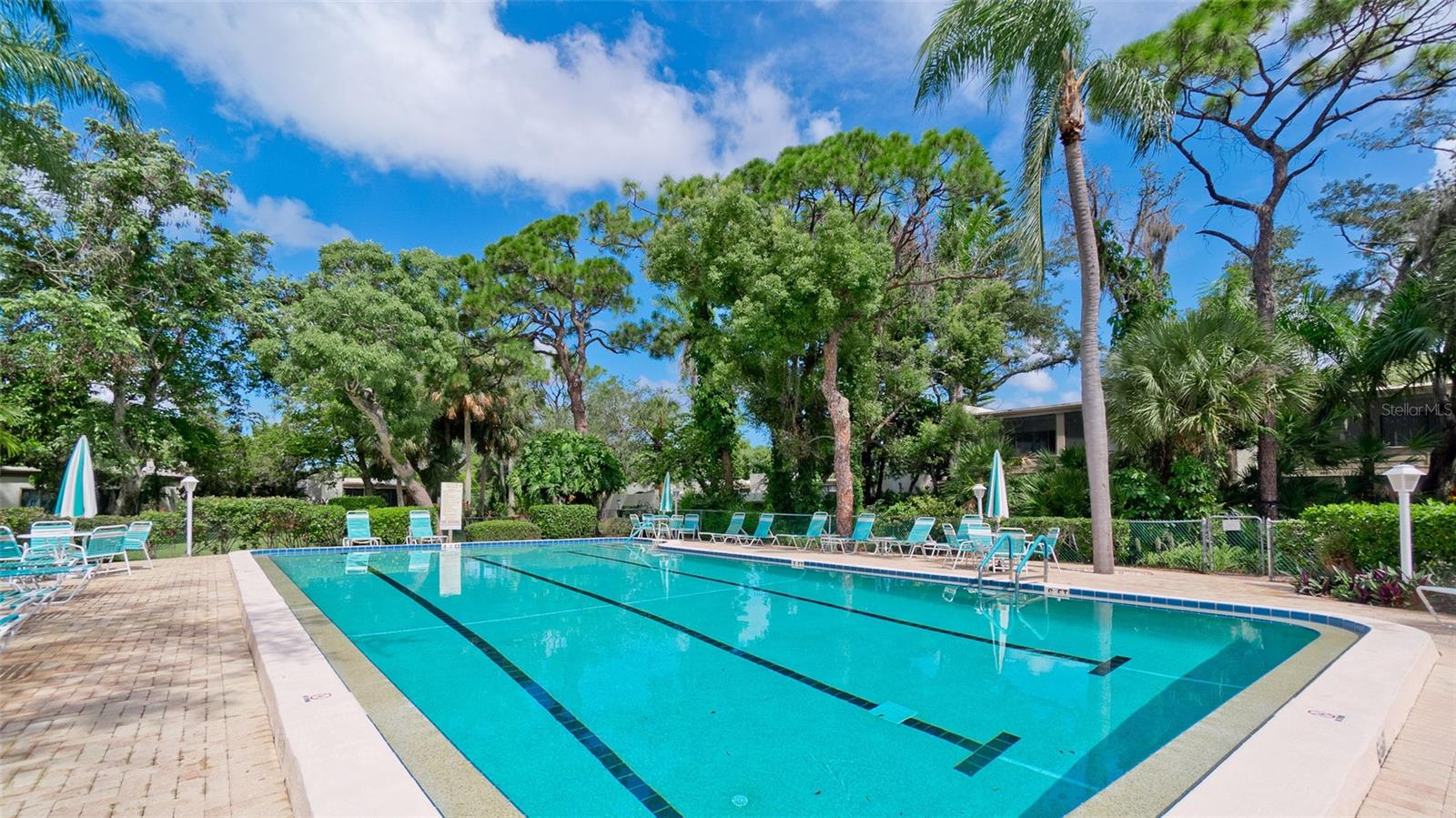 401 Palm Tree Dr #n/a Property Photo 43