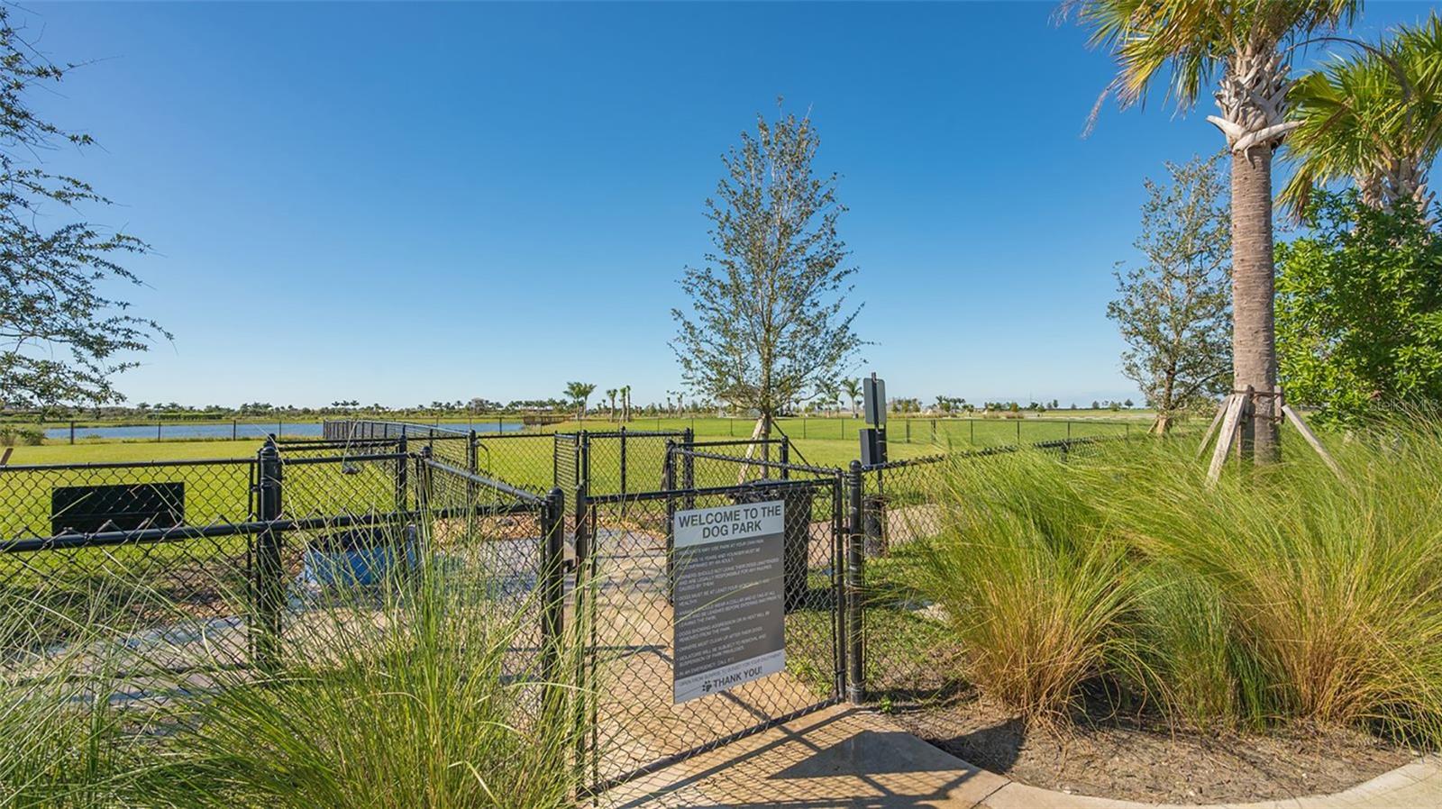 9483 Tequila Sunrise Dr Property Photo 51