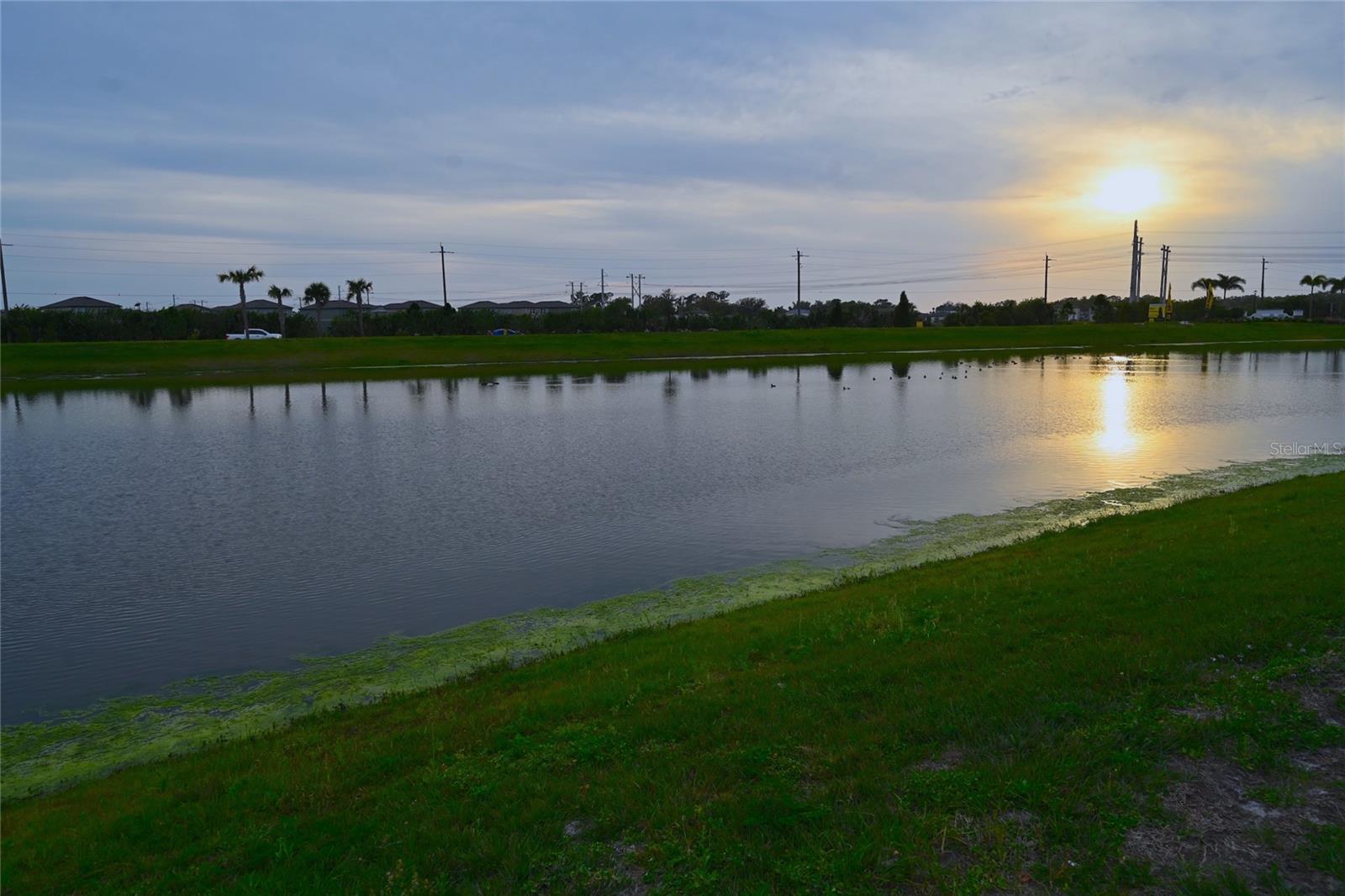 9532 Sandy Bluffs Circle Property Photo 2