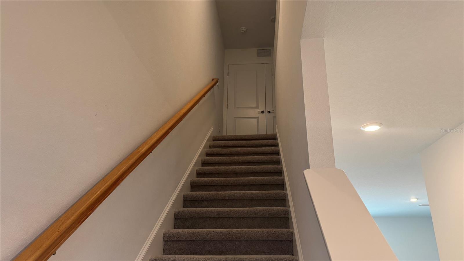 9024 Driven Snow St Property Photo 11