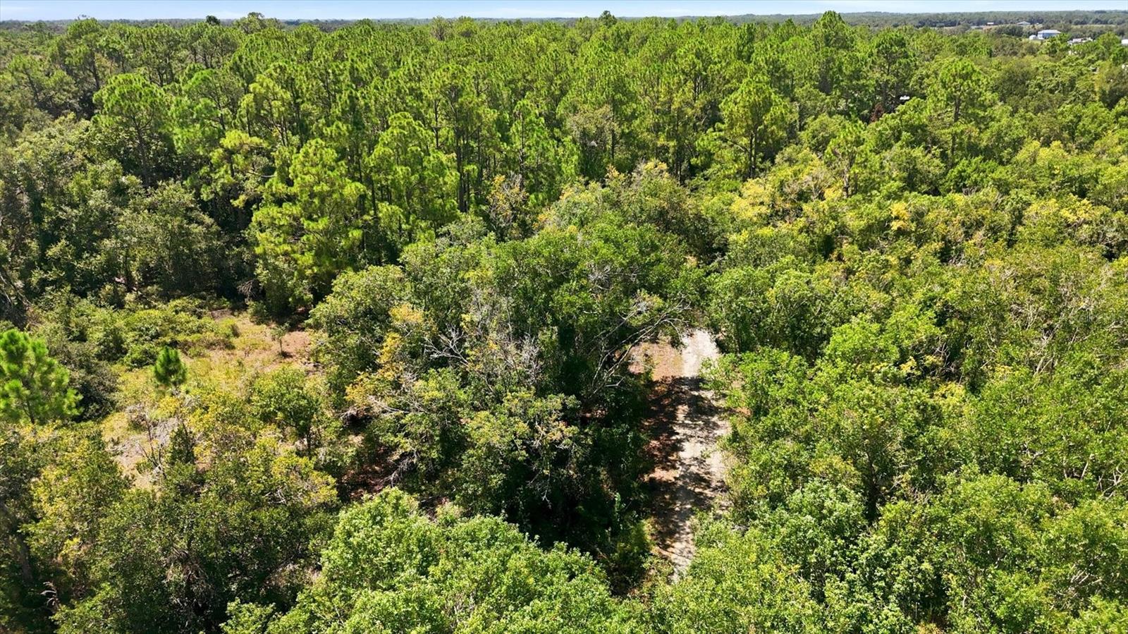 41250 Sr-64 E Property Photo 10