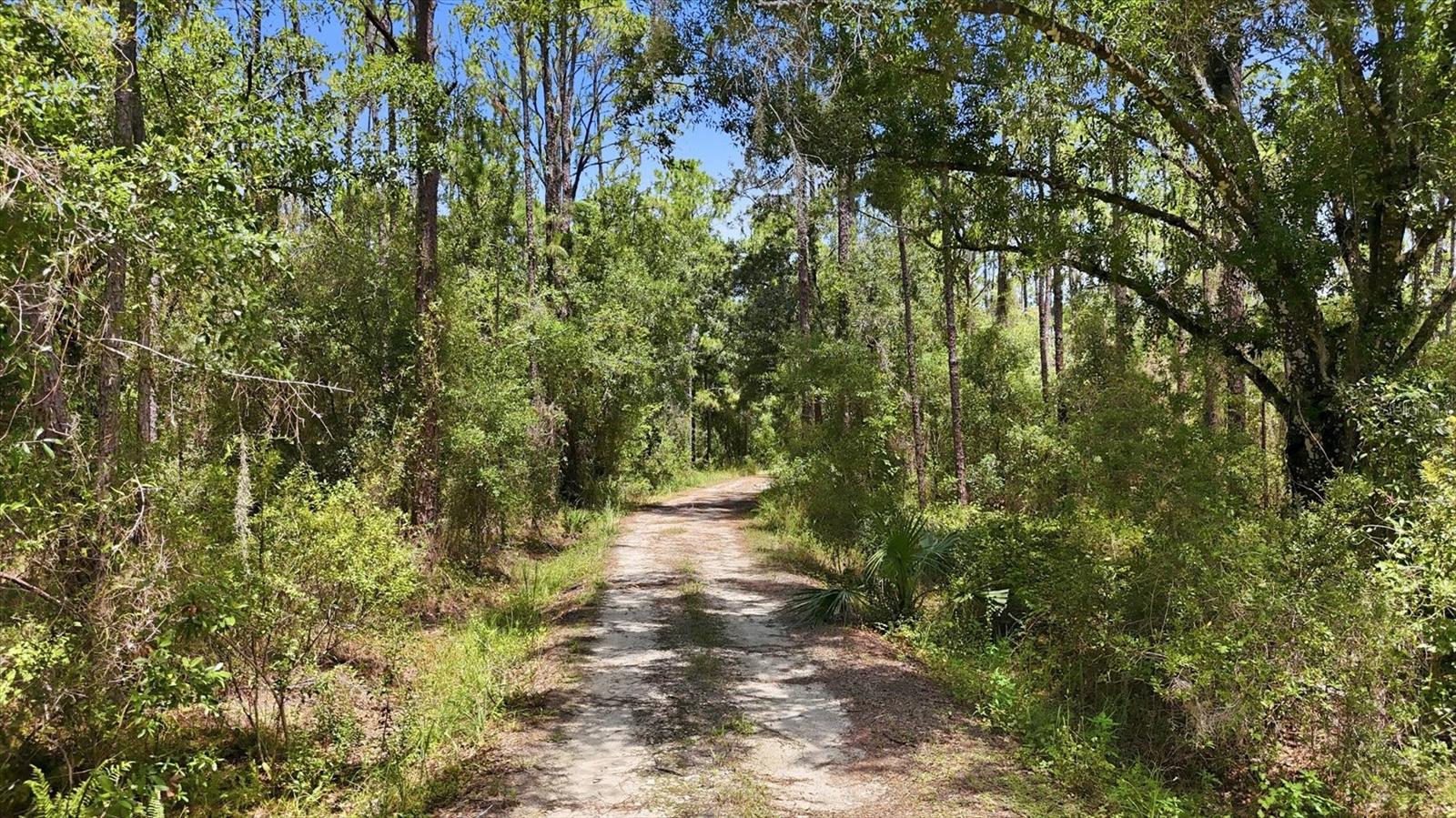 41250 Sr-64 E Property Photo 14