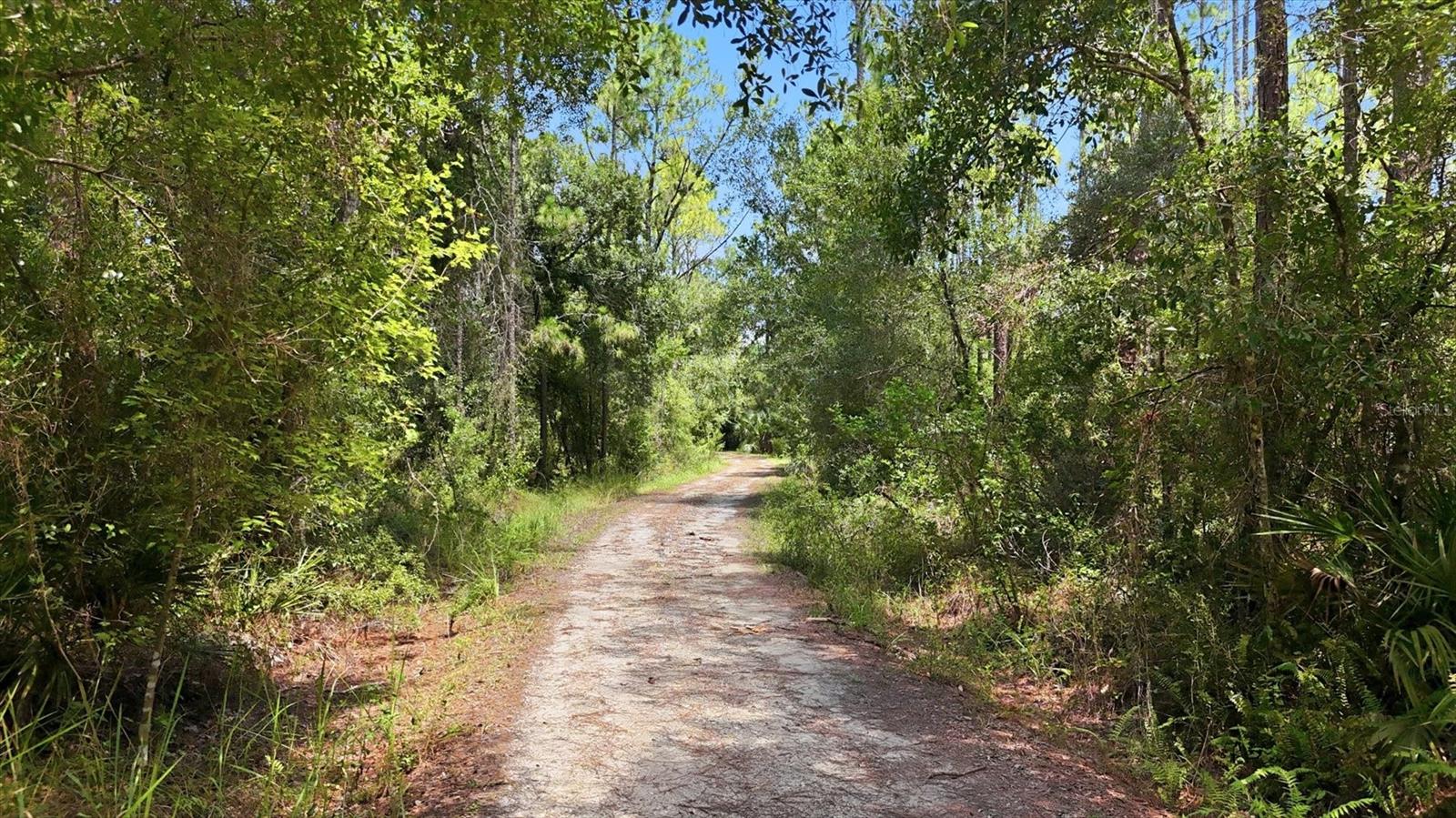41250 Sr-64 E Property Photo 15