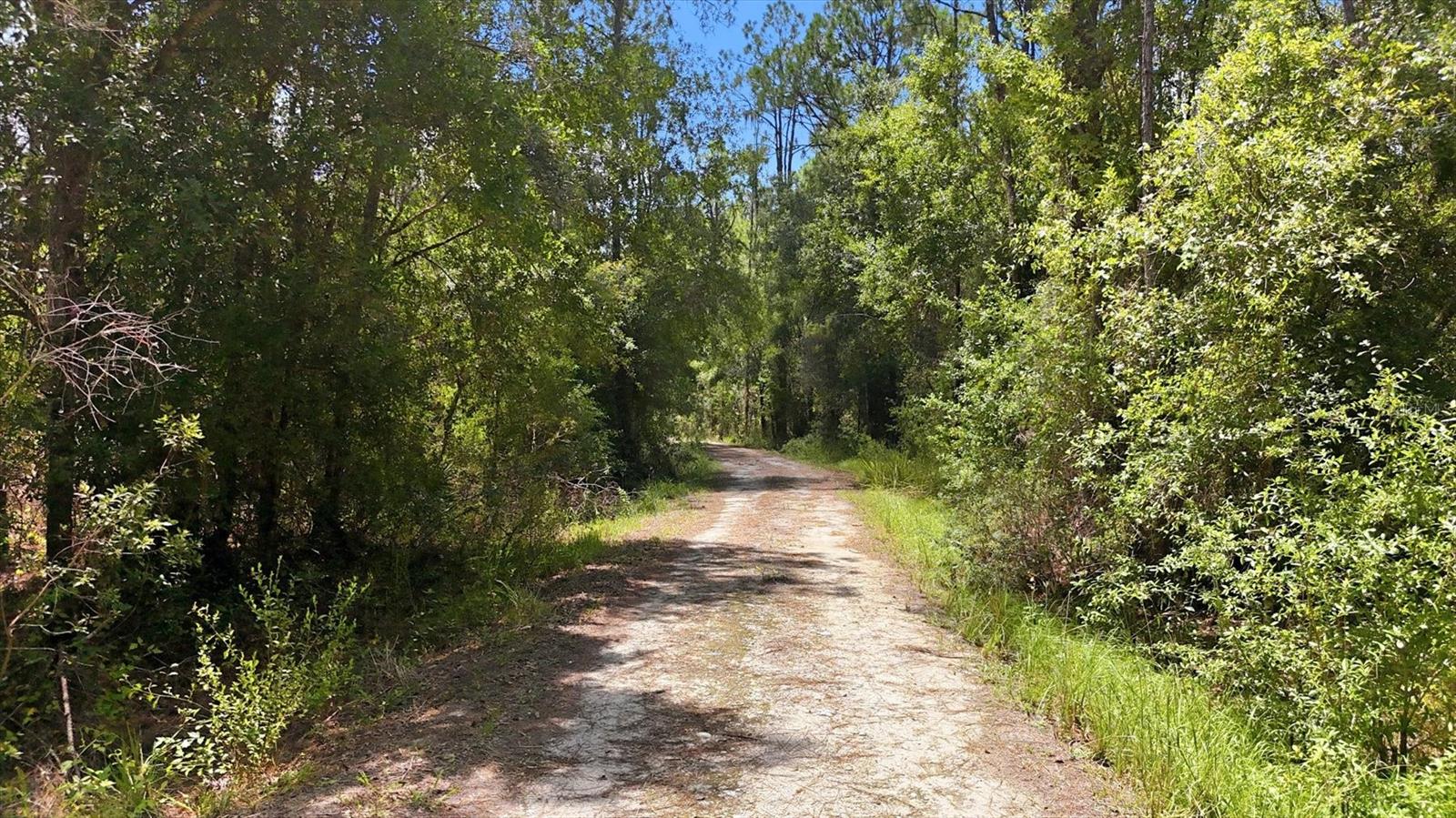 41250 Sr-64 E Property Photo 16