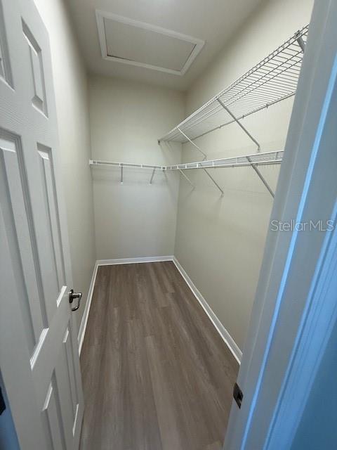 5467 Soapstone Pl #203 Property Photo 19