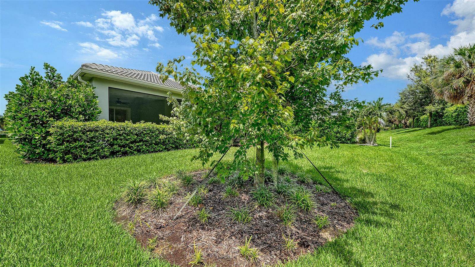 3355 Anchor Bay Trl Property Photo 41