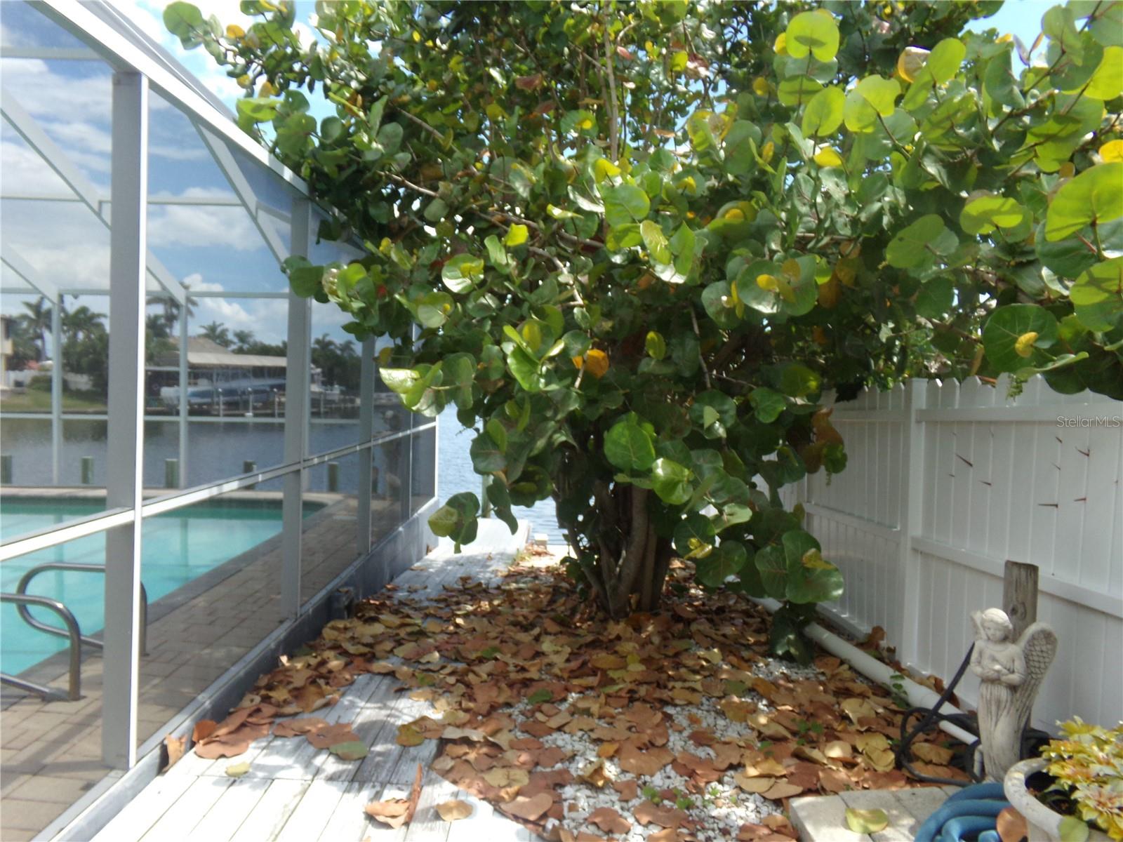 9312 Kingston Rd Property Photo 45