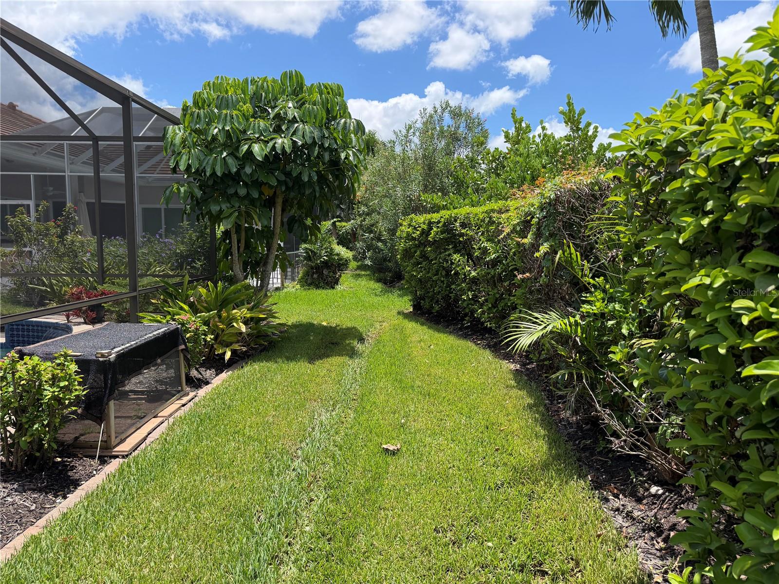 8544 Park Shore Ln Property Photo 35
