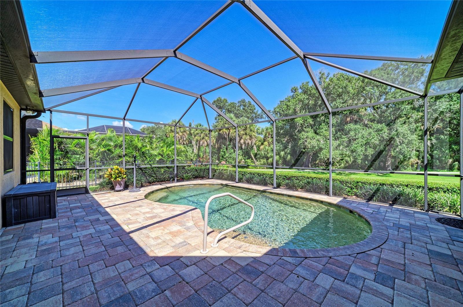 517 Chantilly Trl Property Photo 48