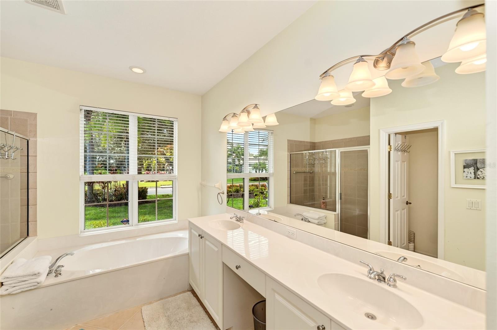 8003 Spring Marsh Dr Property Photo 23