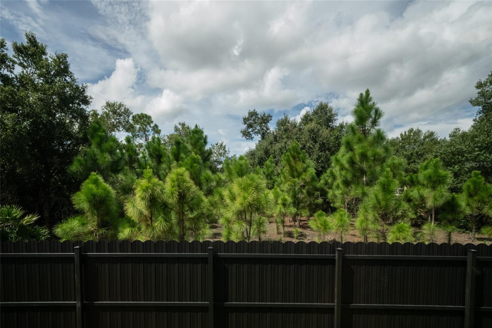 6308 Notre Dame Ter Property Photo 58