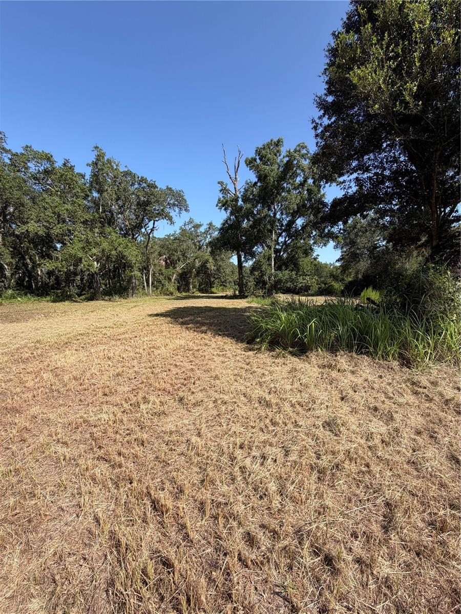8671 Sw Deer Trl Property Photo 3