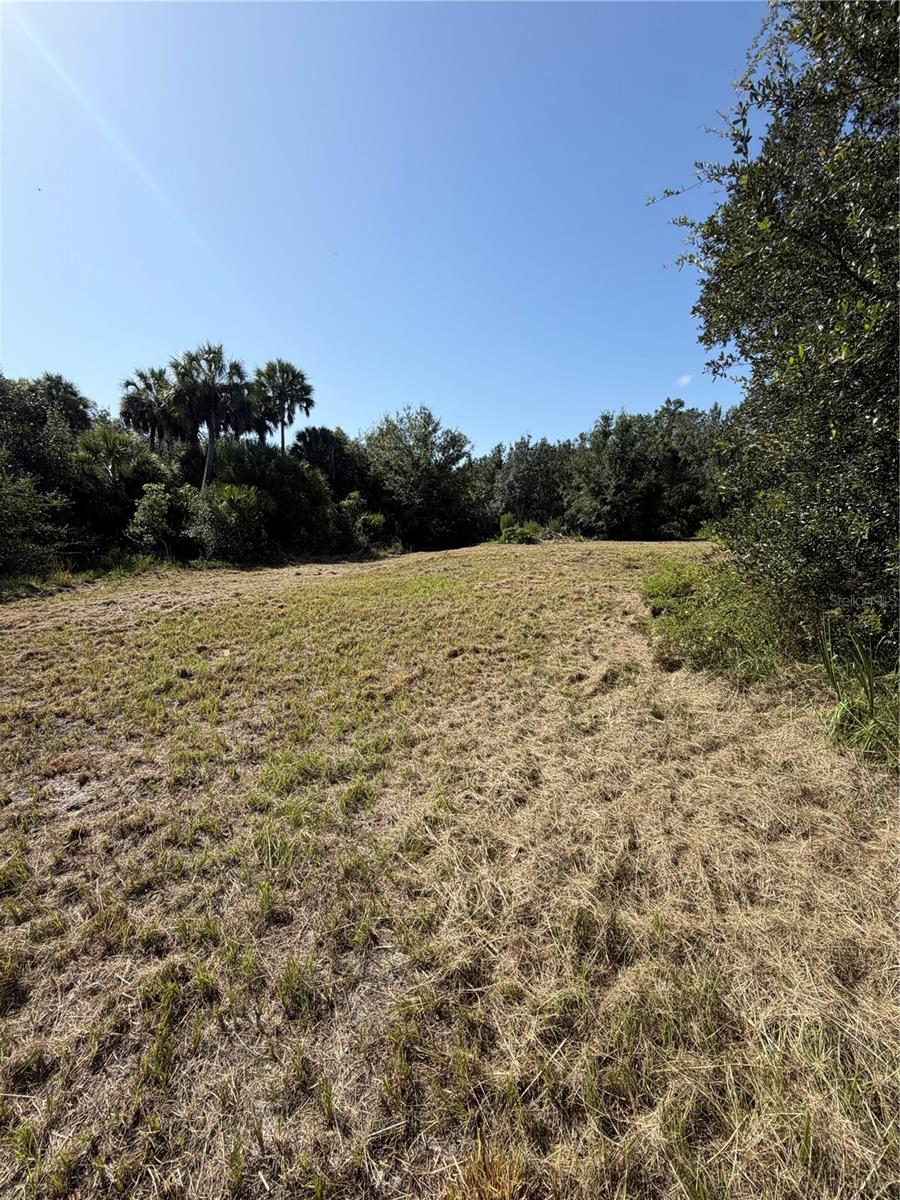 8671 Sw Deer Trl Property Photo 4