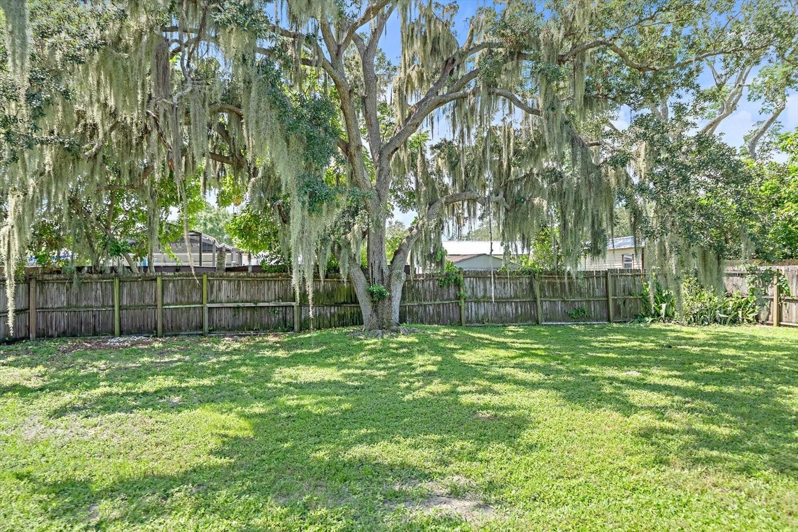 3338 Bailey St Property Photo 19