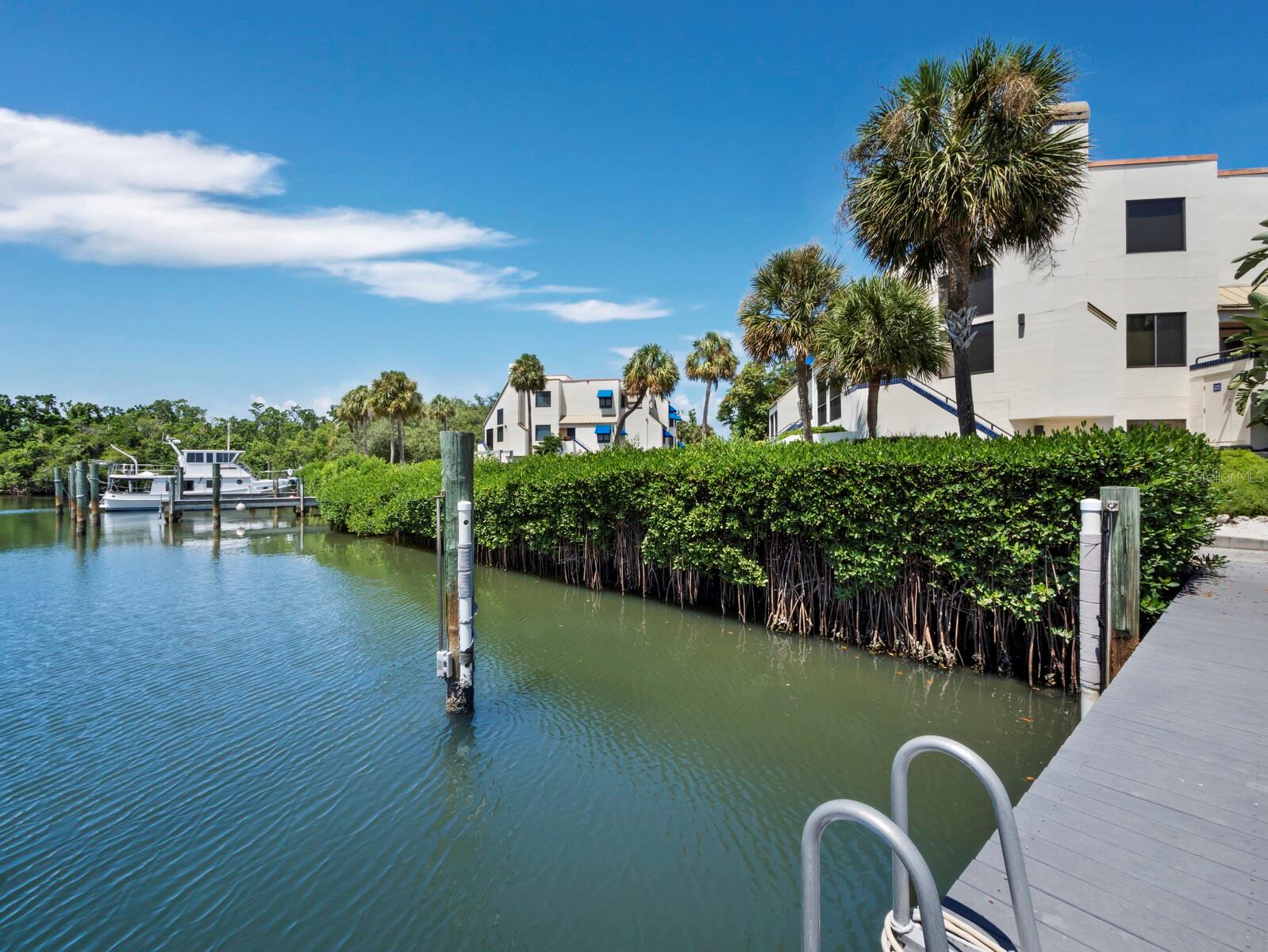 1906 Harbourside Dr #303 Property Photo 18