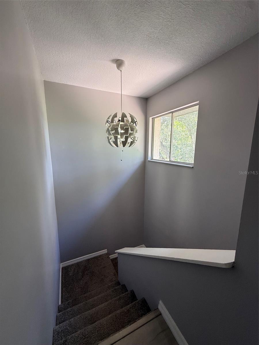 6814 Whitman Pl #6814 Property Photo 9