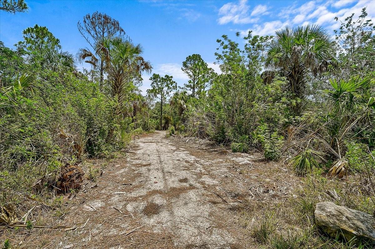 11871 Granite Woods Loop Property Photo 43