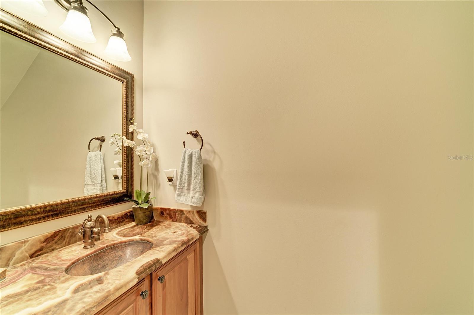 3706 Avenida Madera Property Photo 29