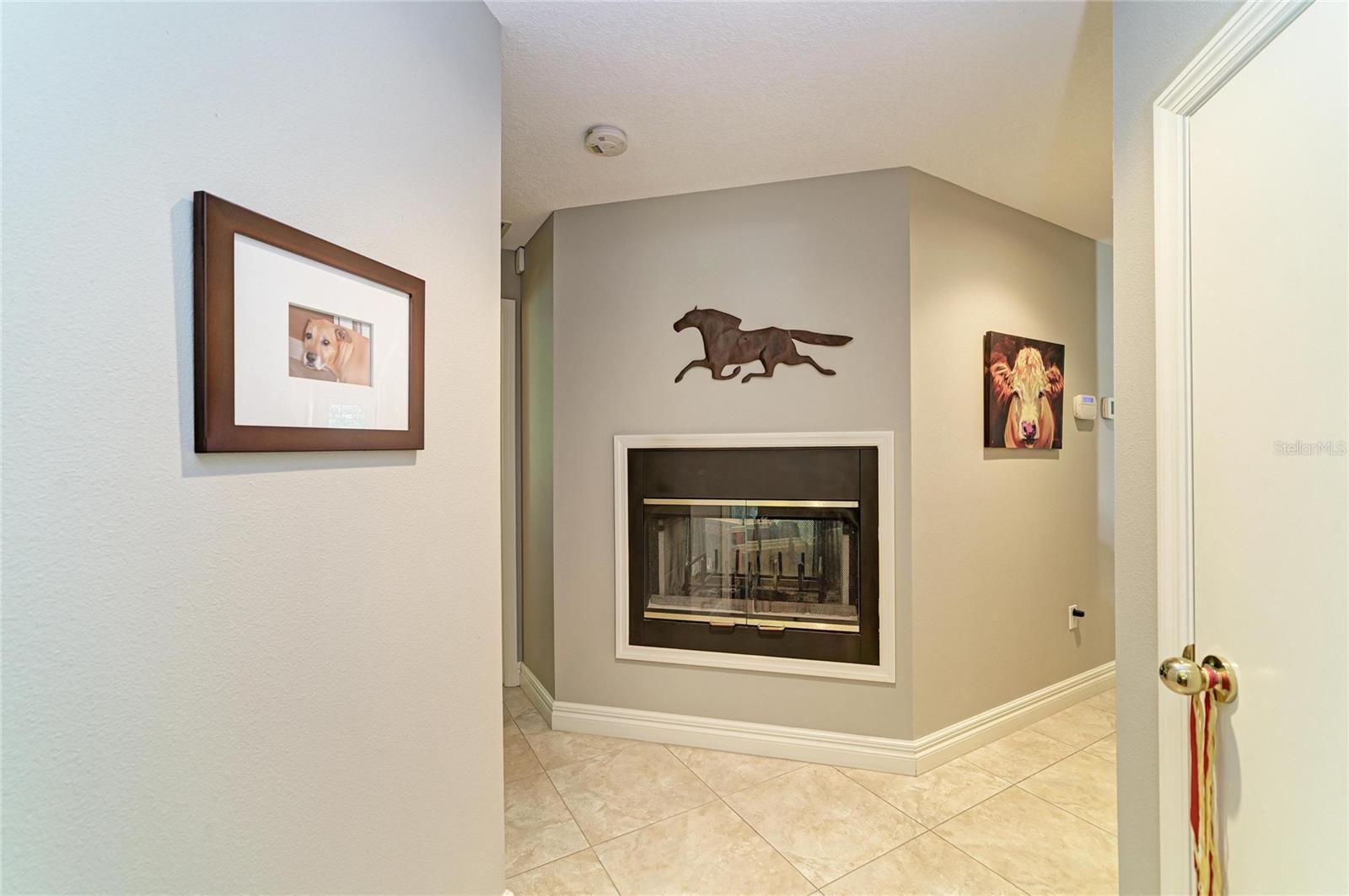 3706 Avenida Madera Property Photo 31
