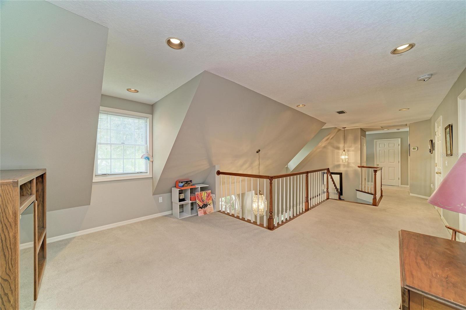 3706 Avenida Madera Property Photo 43