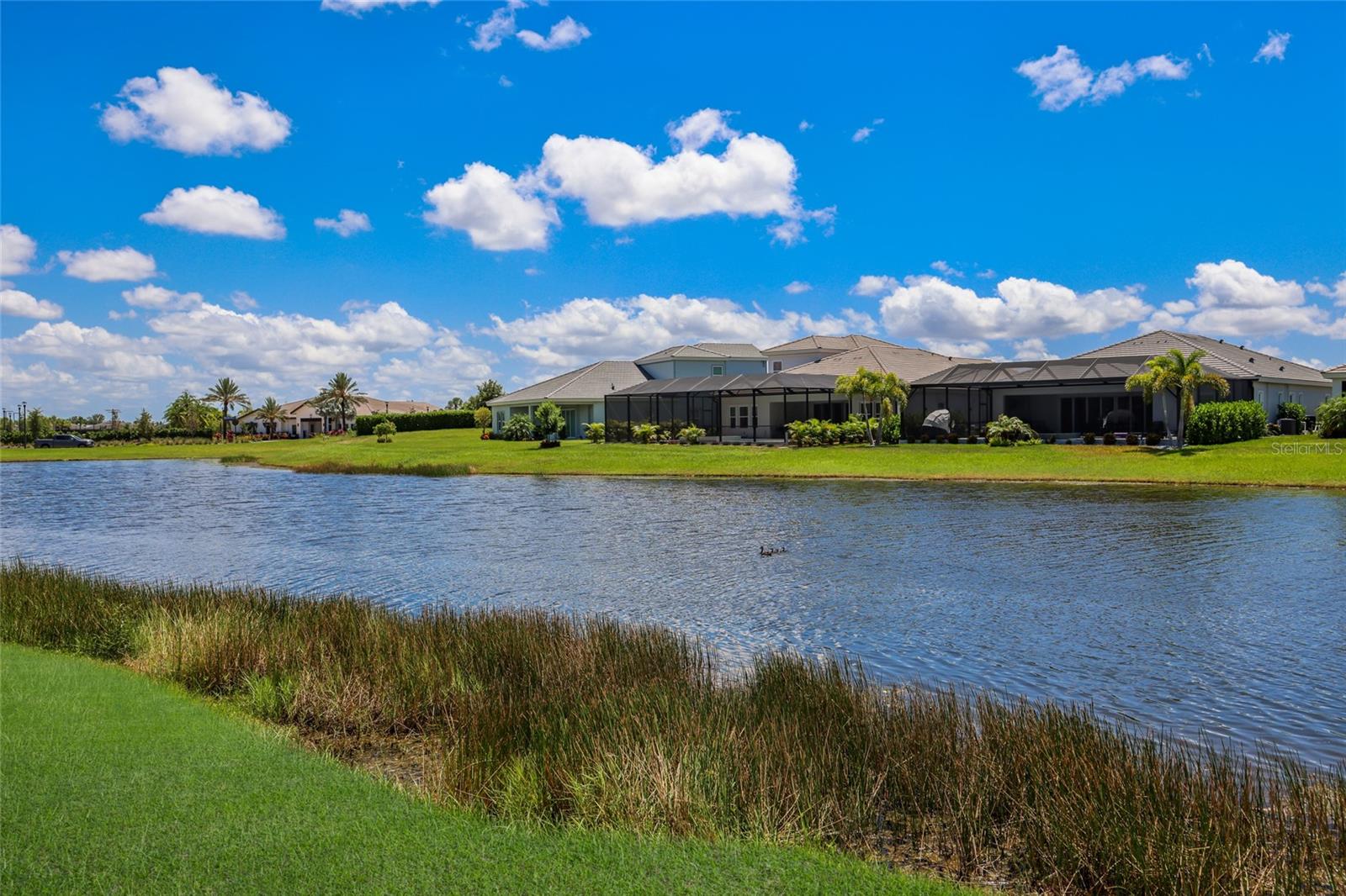 17828 Gulf Ranch Pl Property Photo 33